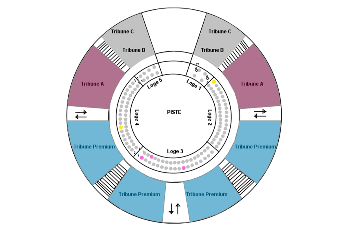 Entreeticket Groot Kerstcircus Den Haag