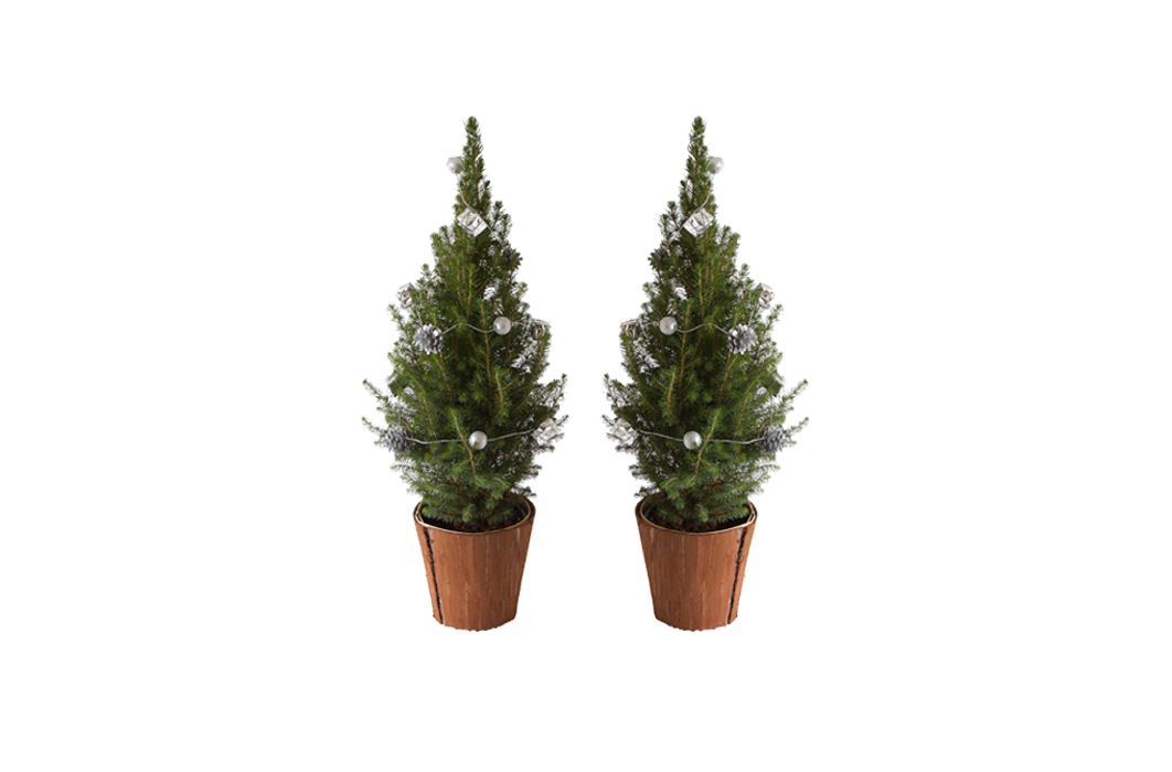 Haal de kerst in huis met een set van 2 miniatuur kerstbomen! 