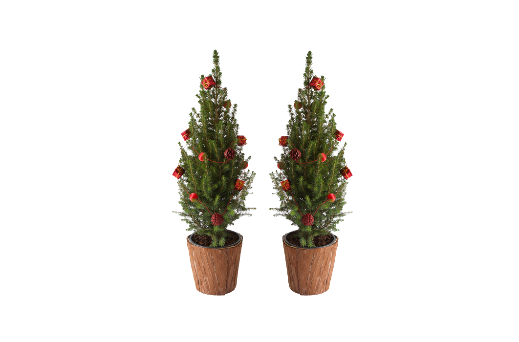 Haal de kerst in huis met een set van 2 miniatuur kerstbomen! 