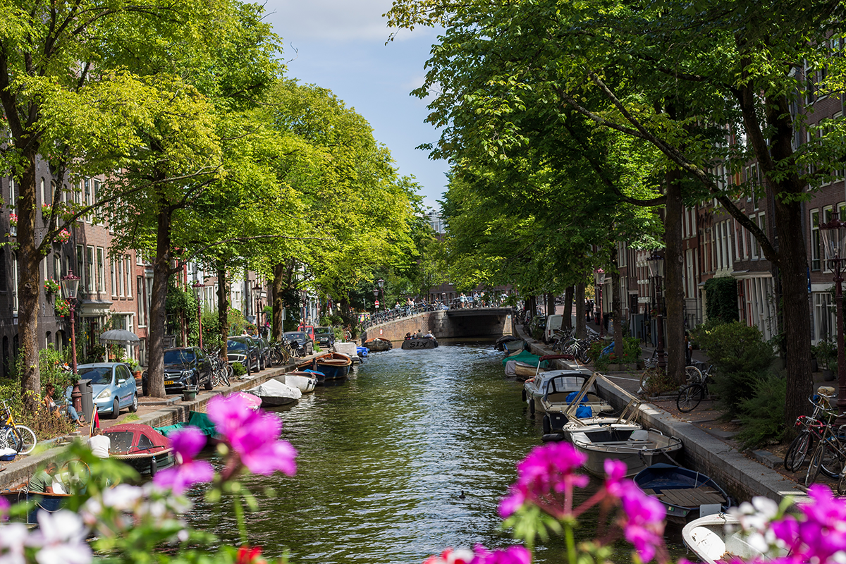 Historische rondleiding door Amsterdam met gids (2 uur)