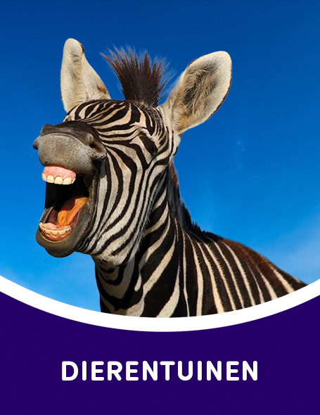Zoos