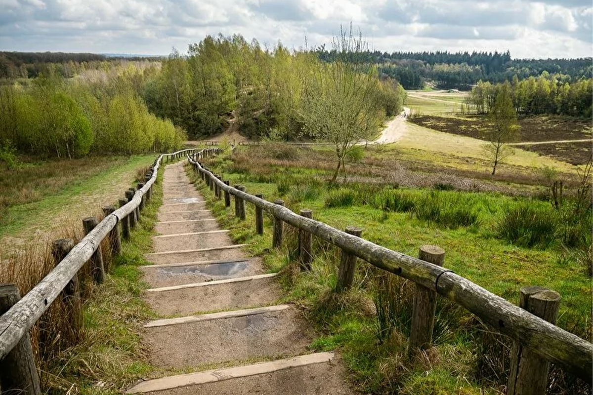 Hotelarrangement Boshotel Overberg (2 personen)