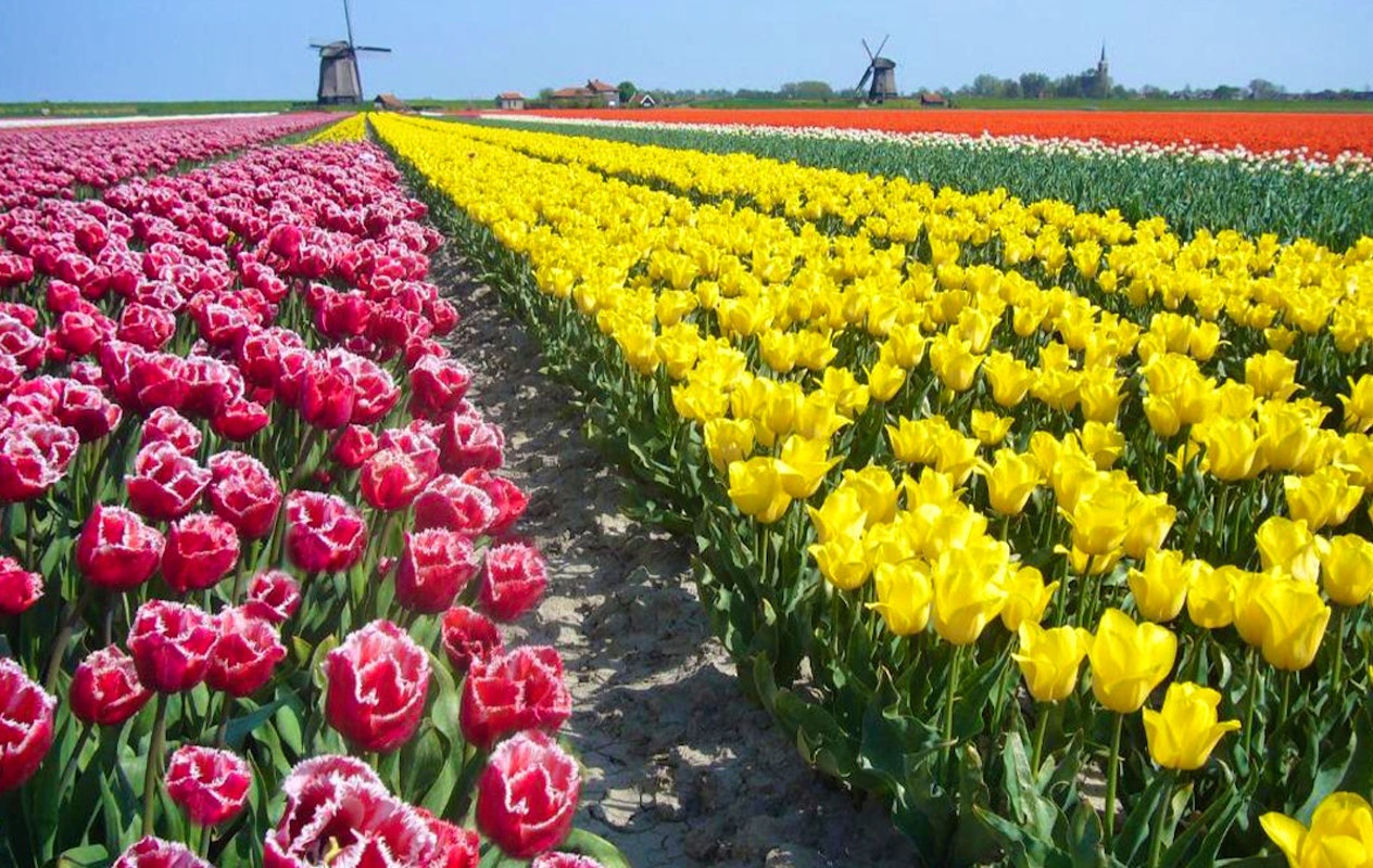 Hotelarrangement bij Hotel Alkmaar (2 personen)