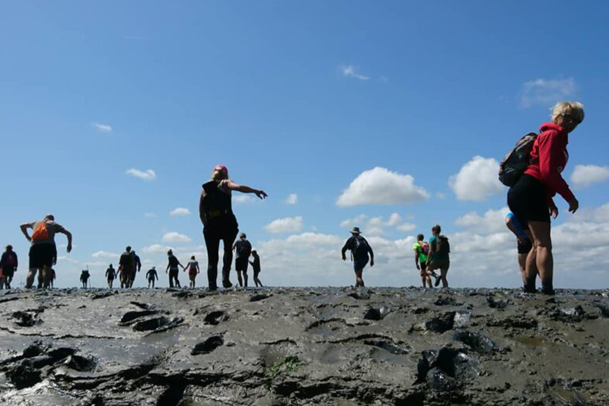 Overnachting + ontbijt bij Hotel Waddengenot (2 personen)
