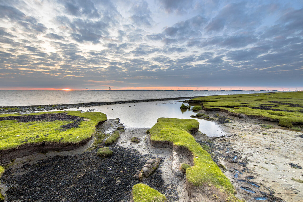 Overnachting + ontbijt bij Hotel Waddengenot (2 personen)
