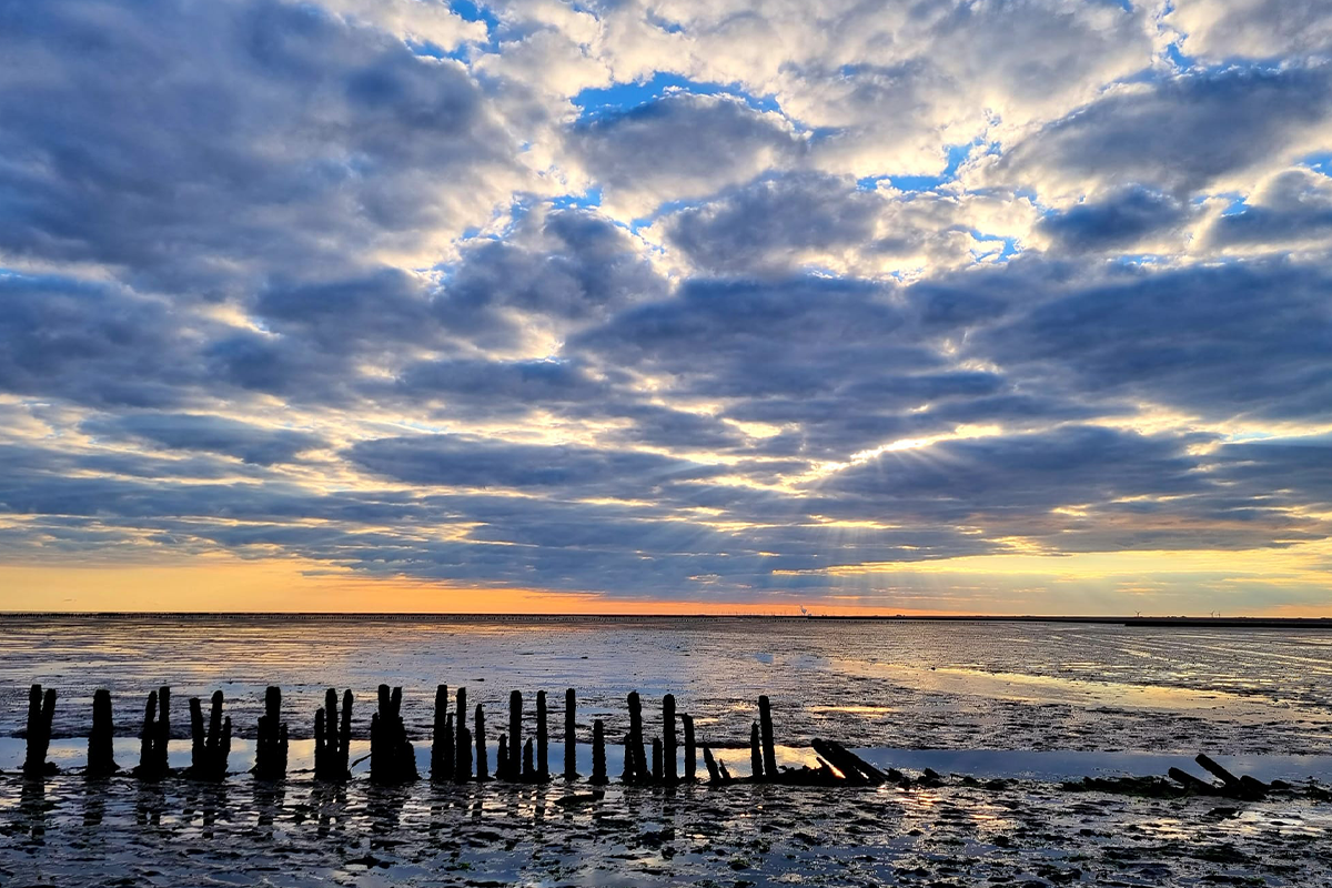 Overnachting + ontbijt bij Hotel Waddengenot (2 personen)