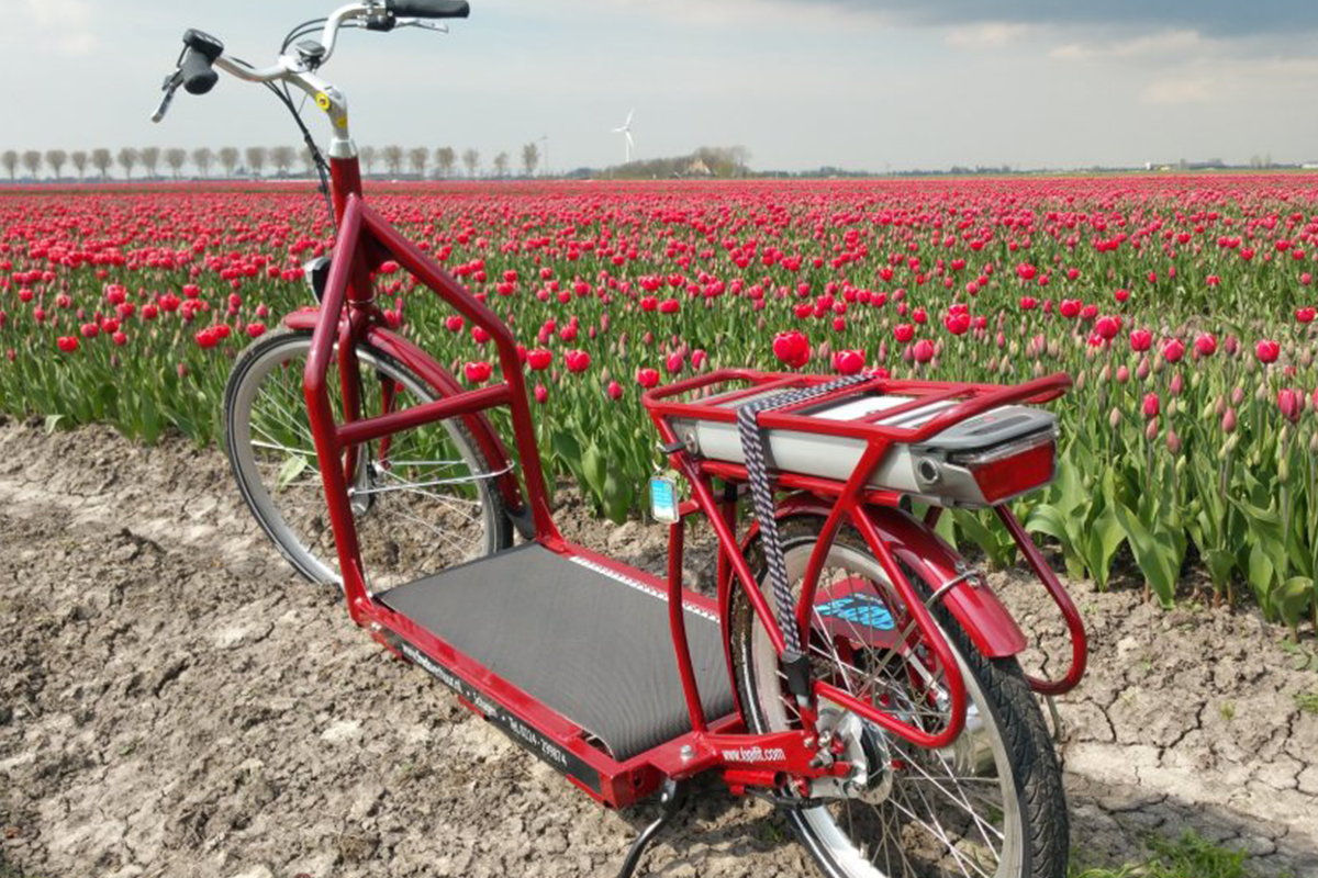 Lopifit-arrangement incl. lunch door West-Friesland