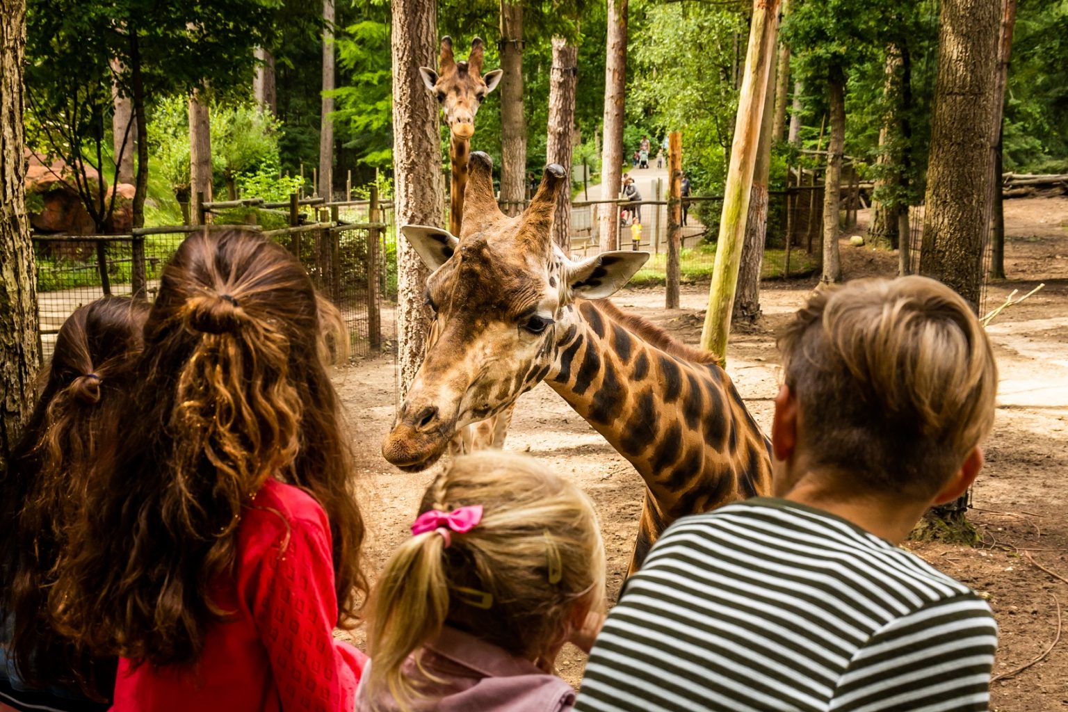 Ontdek DierenPark Amersfoort met korting