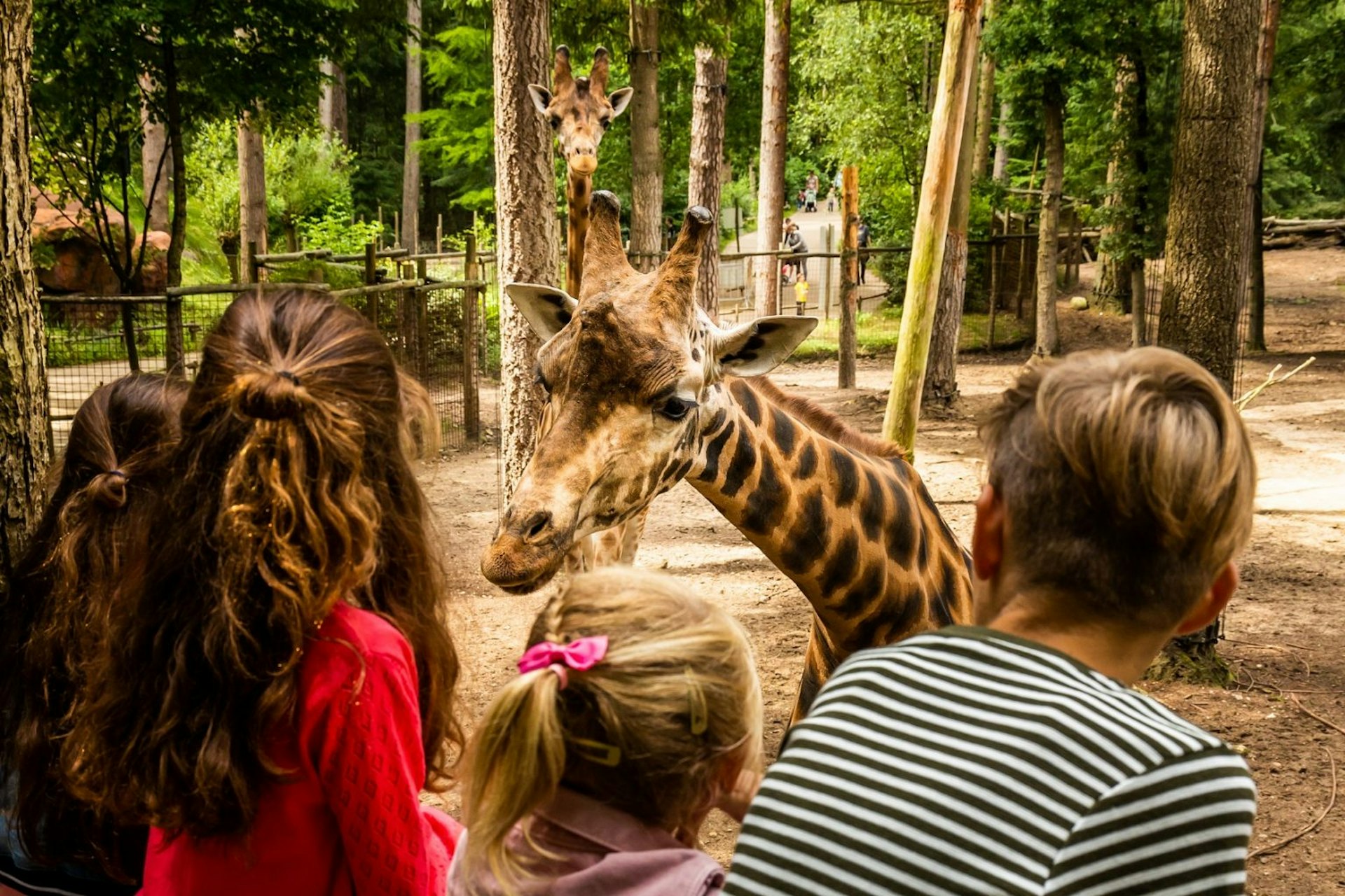 Ontdek DierenPark Amersfoort met korting