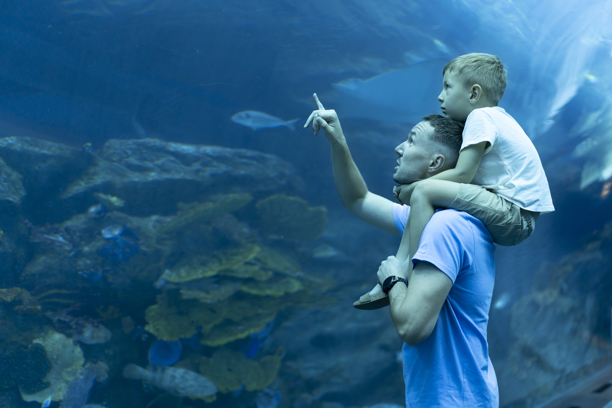 De leukste dierentuinen in Nederland