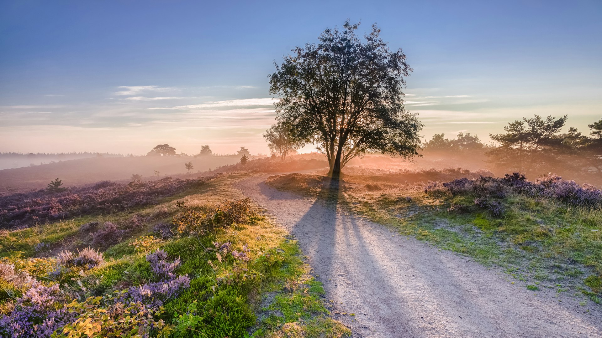Leuke dagjes uit in Gelderland: Voor jong, oud en iedereen daartussenin