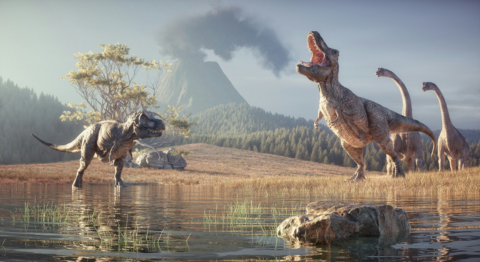 Ontdek Dino Zoo Metelen met korting