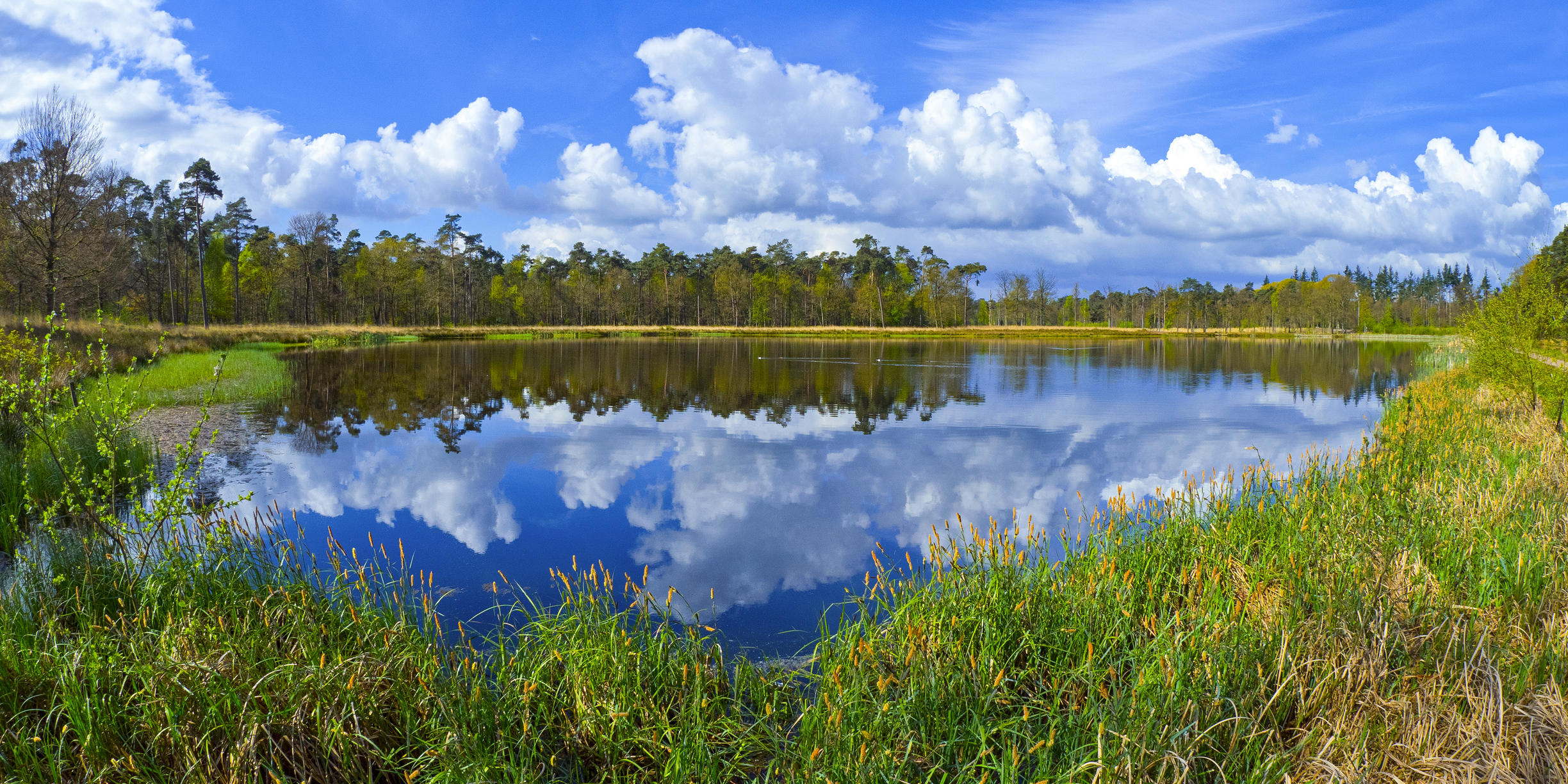 Wat te doen in Uden: de leukste uitjes, activiteiten en bezienswaardigheden