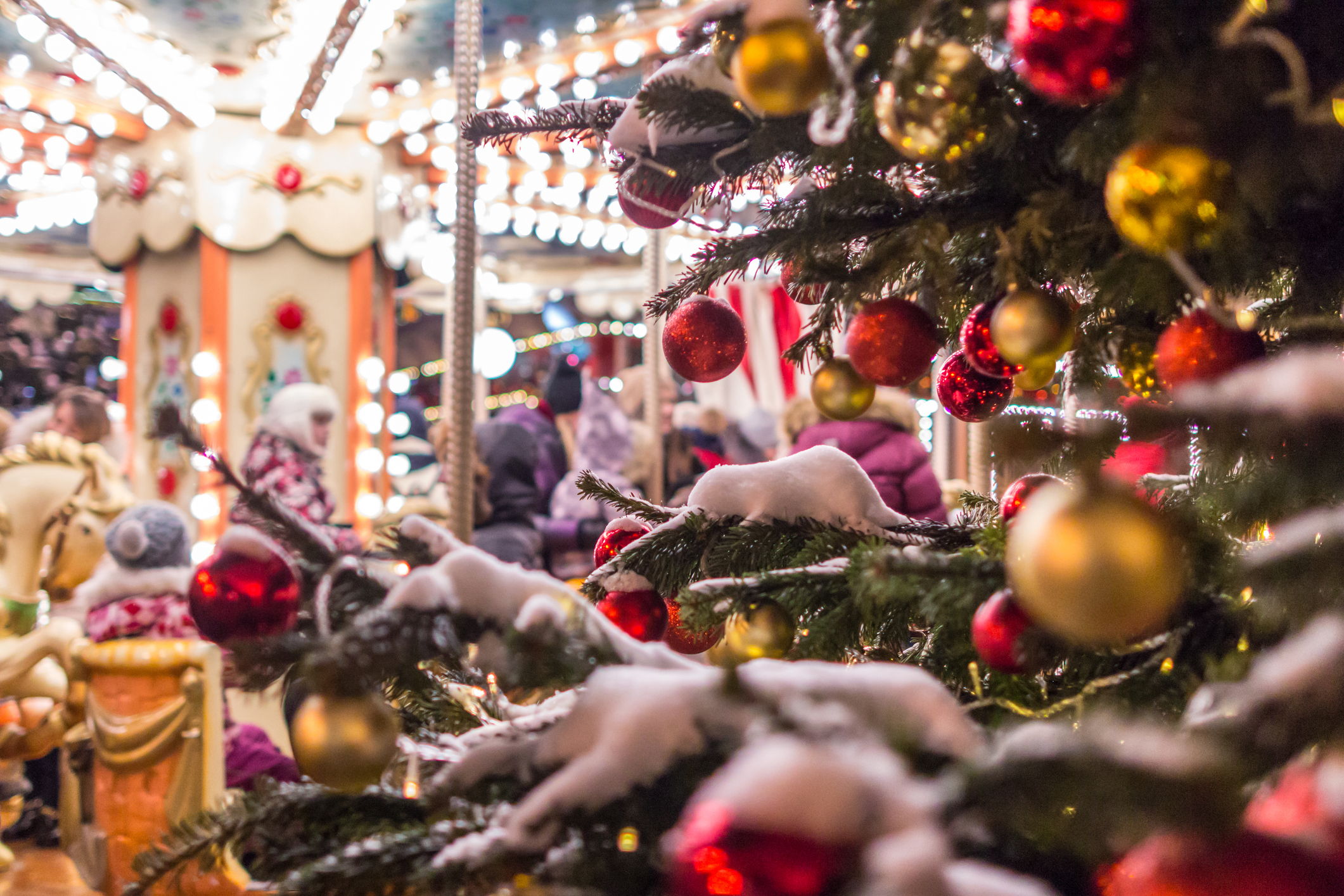 Ontdek het Kerstcircus Ahoy