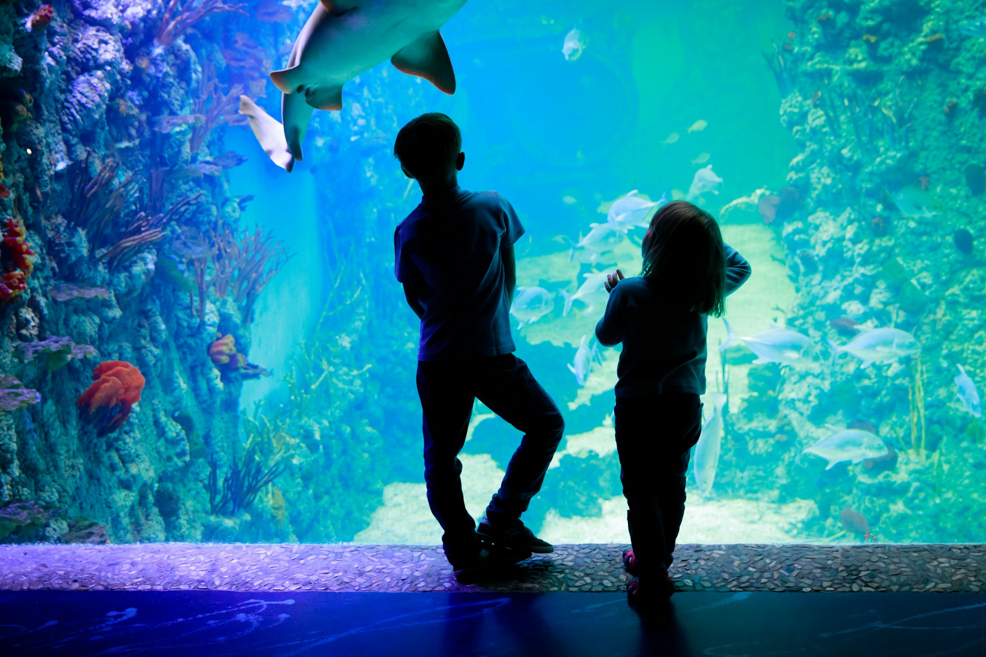 Ontdek Zee Aquarium Bergen aan Zee met korting