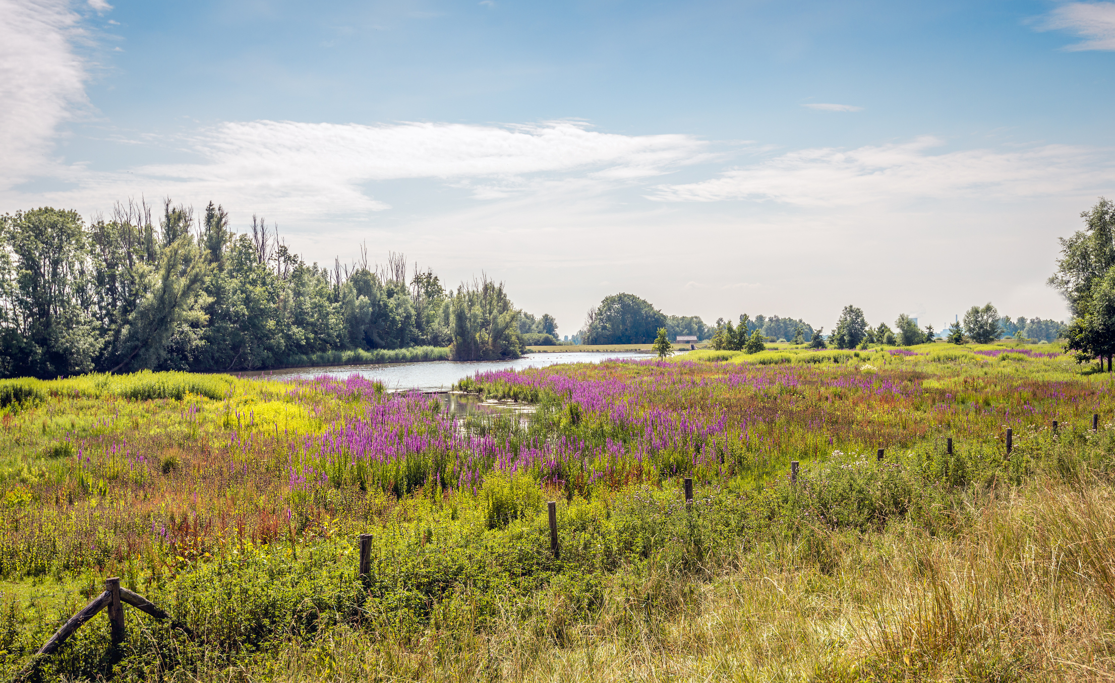 Bezienswaardigheden in Oss en omgeving: natuur, cultuur en gezinssuggesties