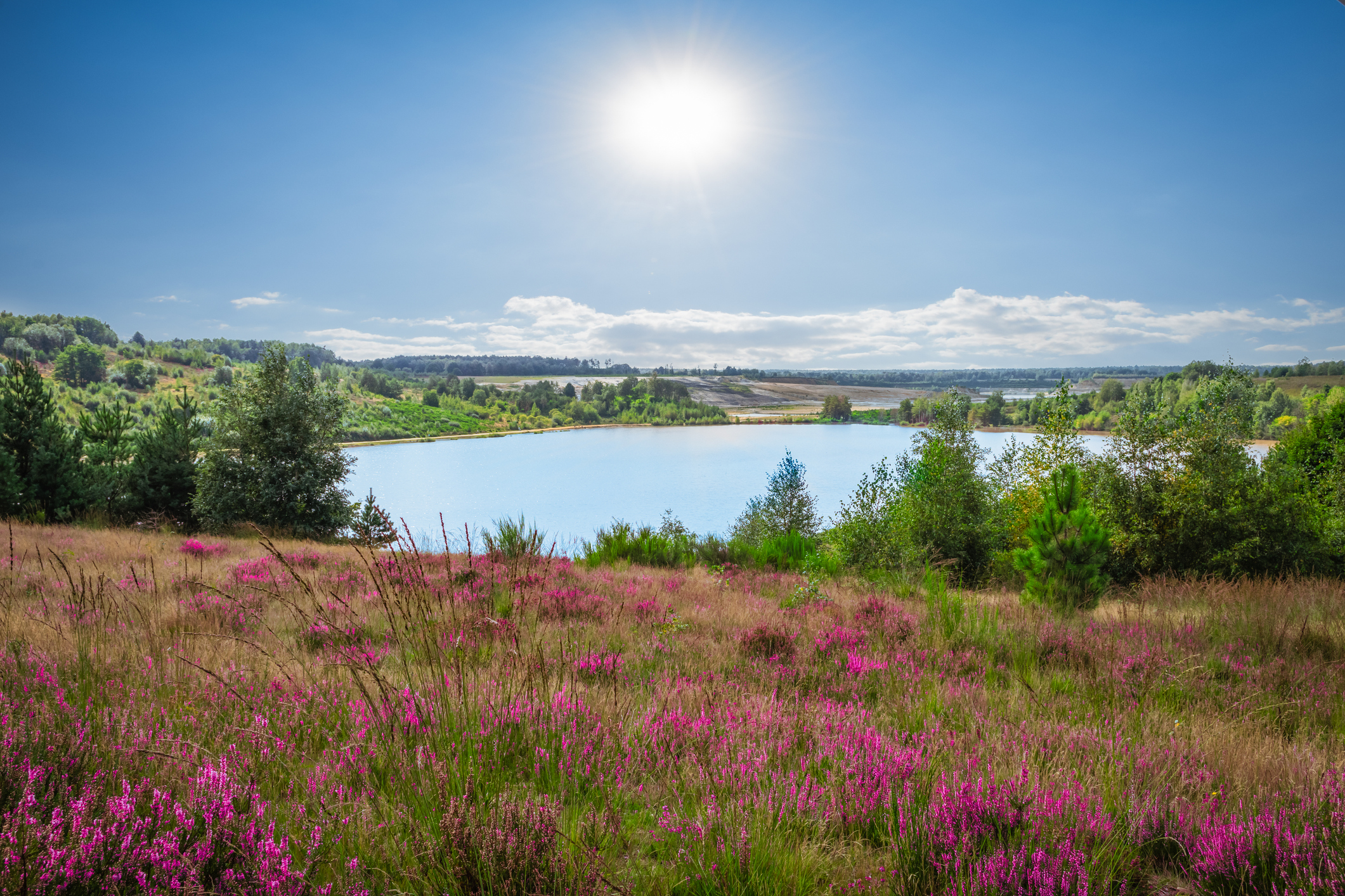 Vakantieparken in België: Genieten van natuur, avontuur en bourgondische gezelligheid