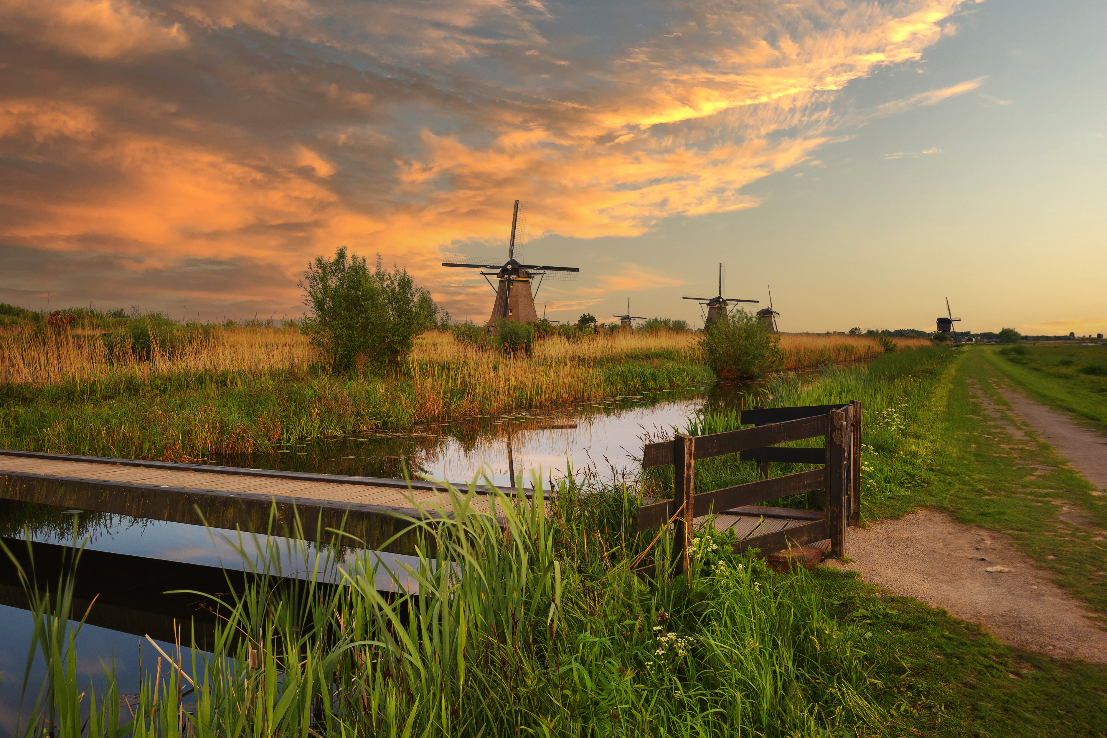 Ontdek Het Nederlands Openluchtmuseum met korting