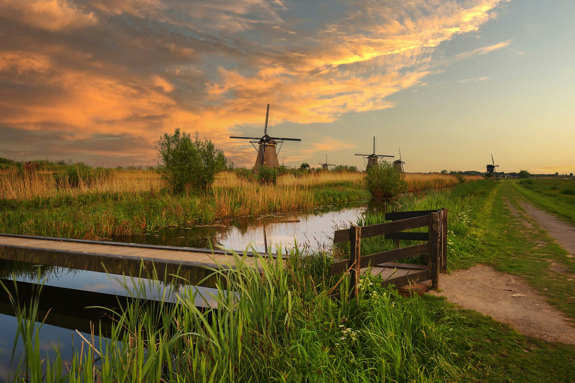 Ontdek Het Nederlands Openluchtmuseum met korting