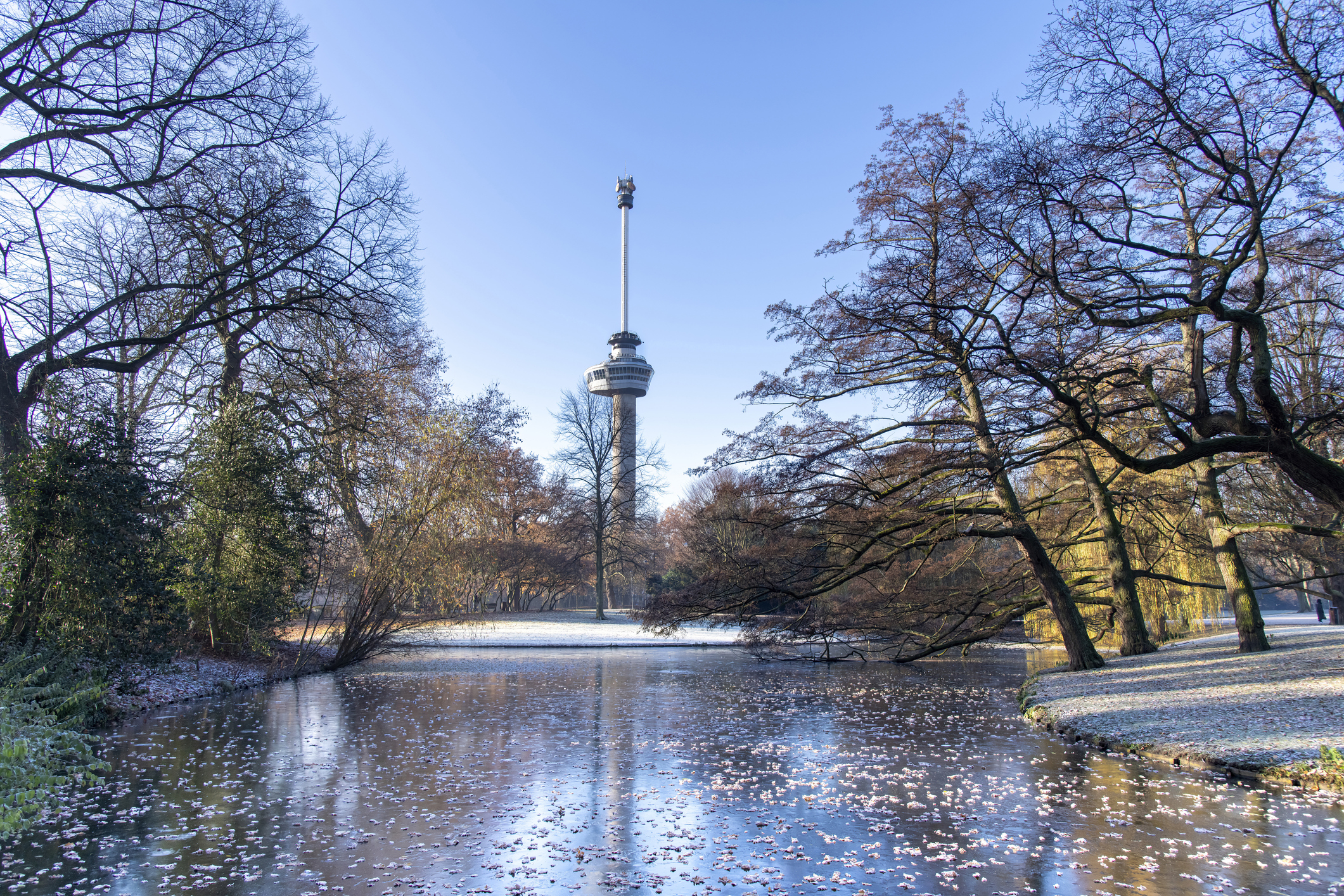 Dagje Euromast Rotterdam: Uitzicht, avontuur en gastronomie