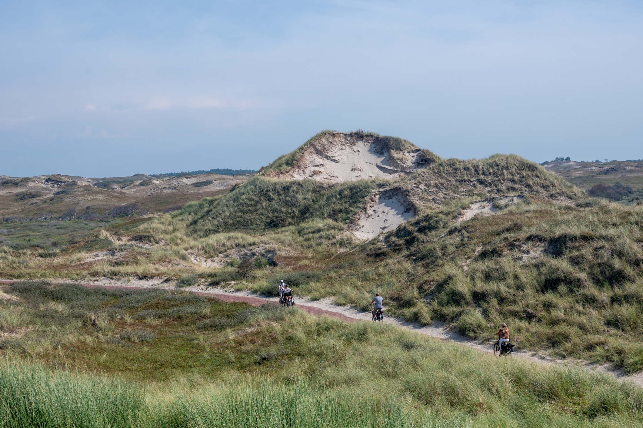 Naar de Noordkop: natuur, historie en rust
