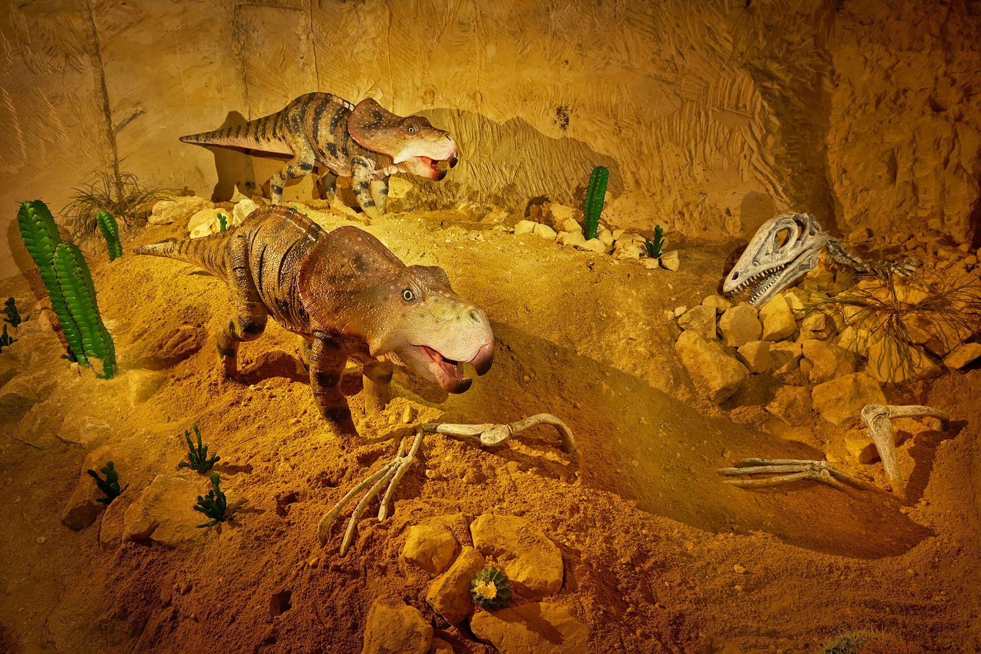 Ontdek Mergelrijk met korting