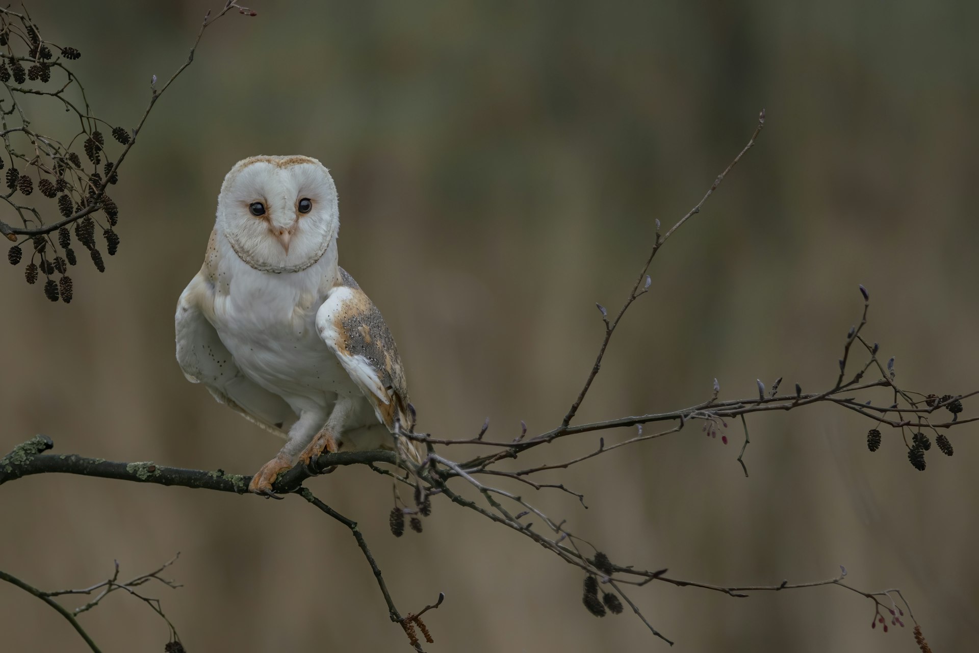 Ontdek Dierenpark de Paay met korting