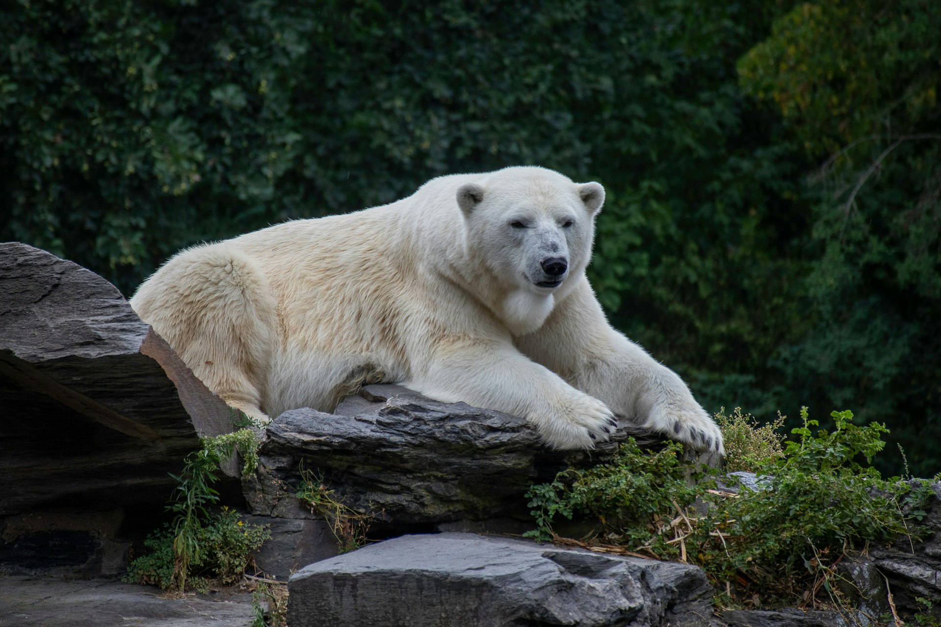 Ontdek Zoo Dortmund met korting