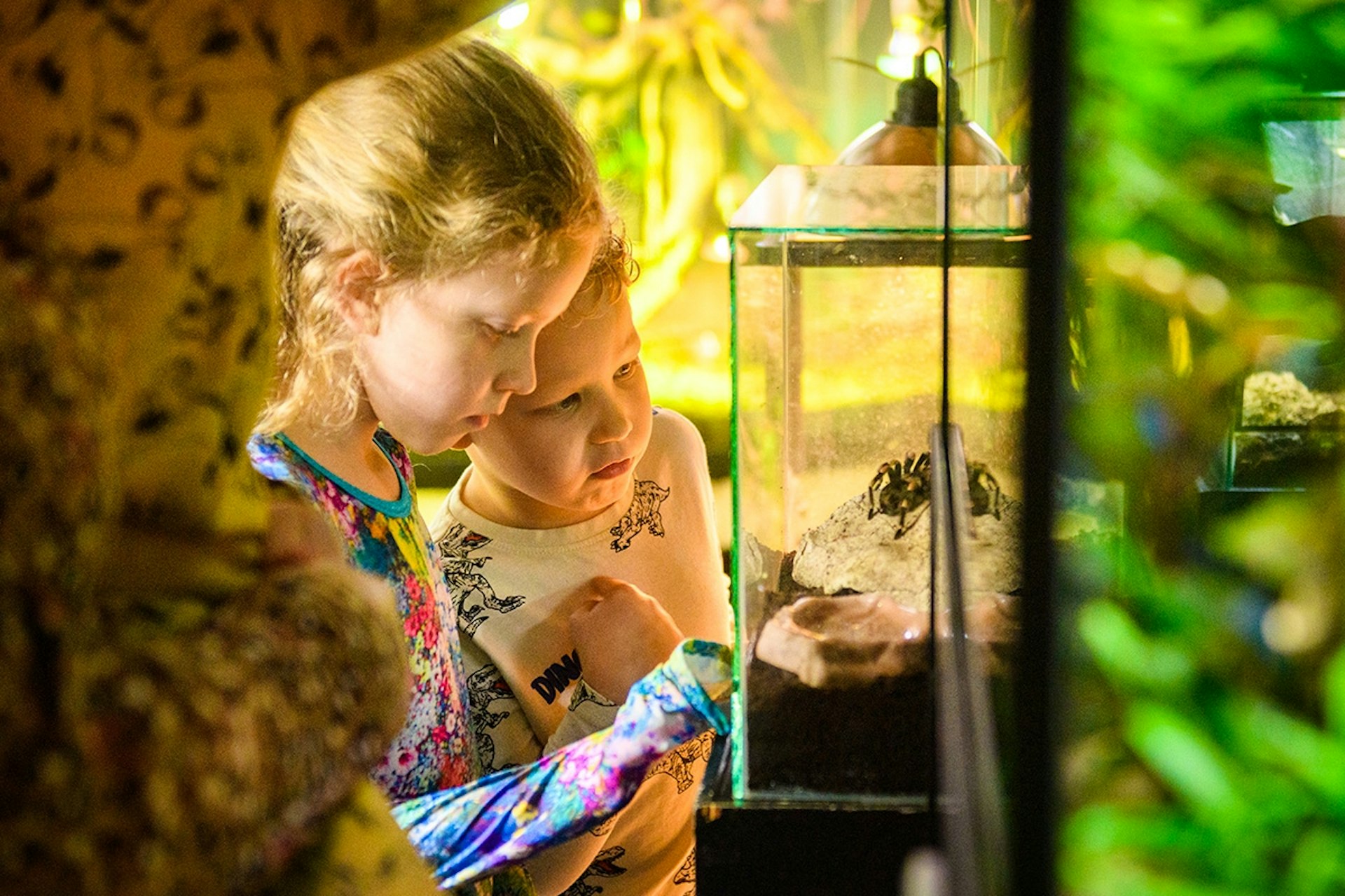 Ontdek Dierenpark De Oliemeulen met korting