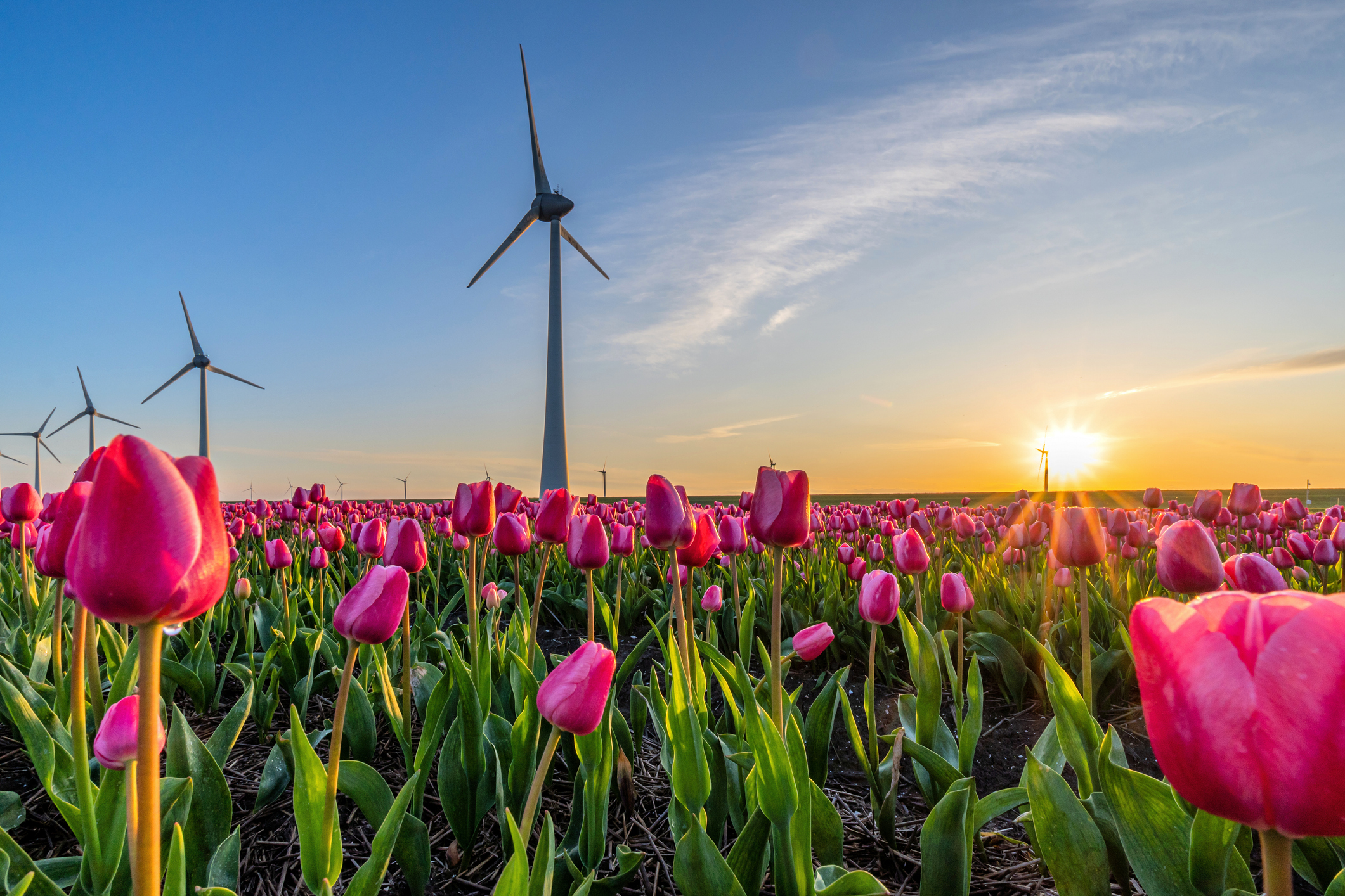Flevoland ontdekken: Uitjes voor kinderen en volwassenen