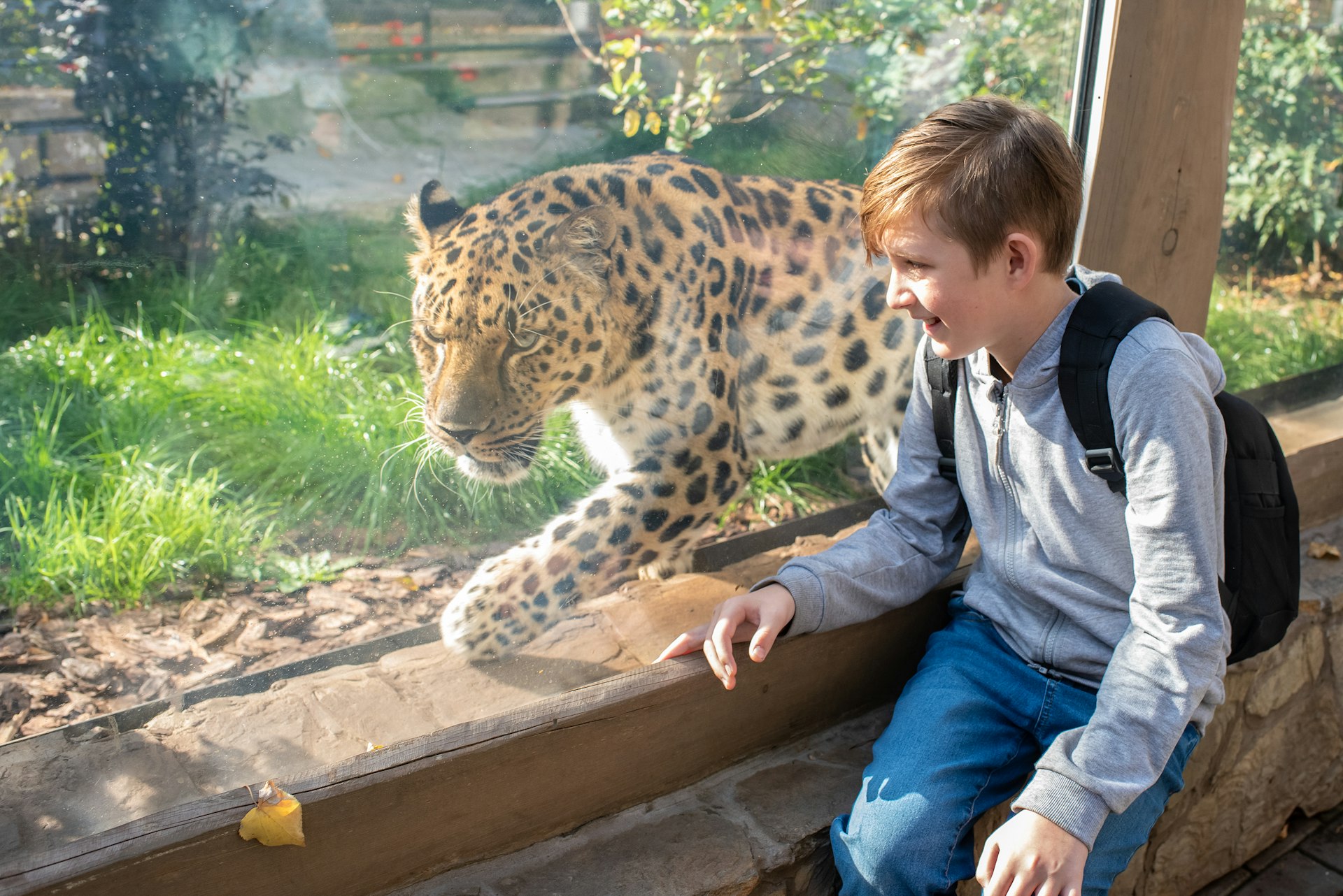 Ontdek ZooParc Overloon met korting