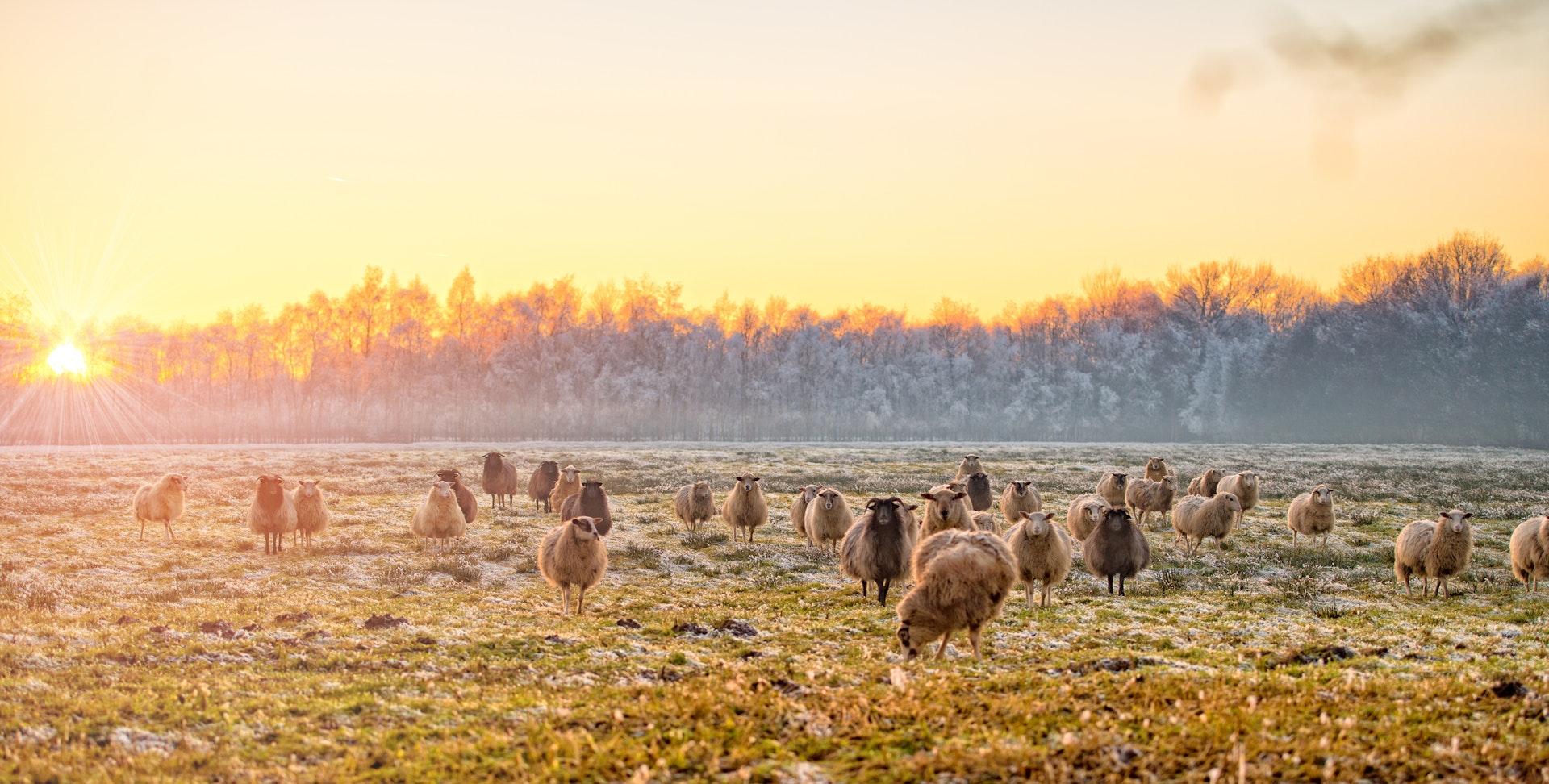 Wat te doen in Twente: tips, uitjes en bezienswaardigheden in de regio en Enschede