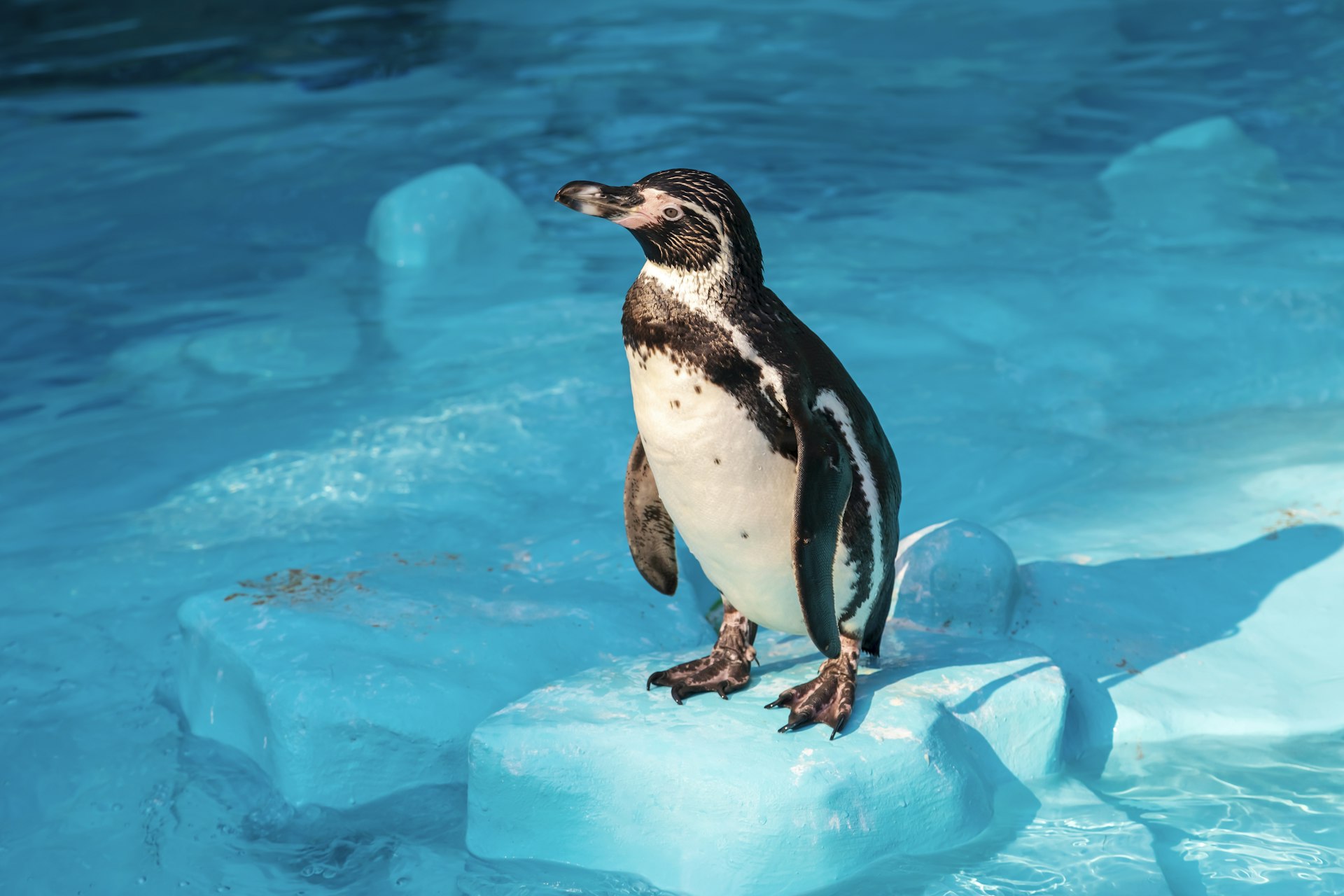 Ontdek AquaZoo Leeuwarden met korting