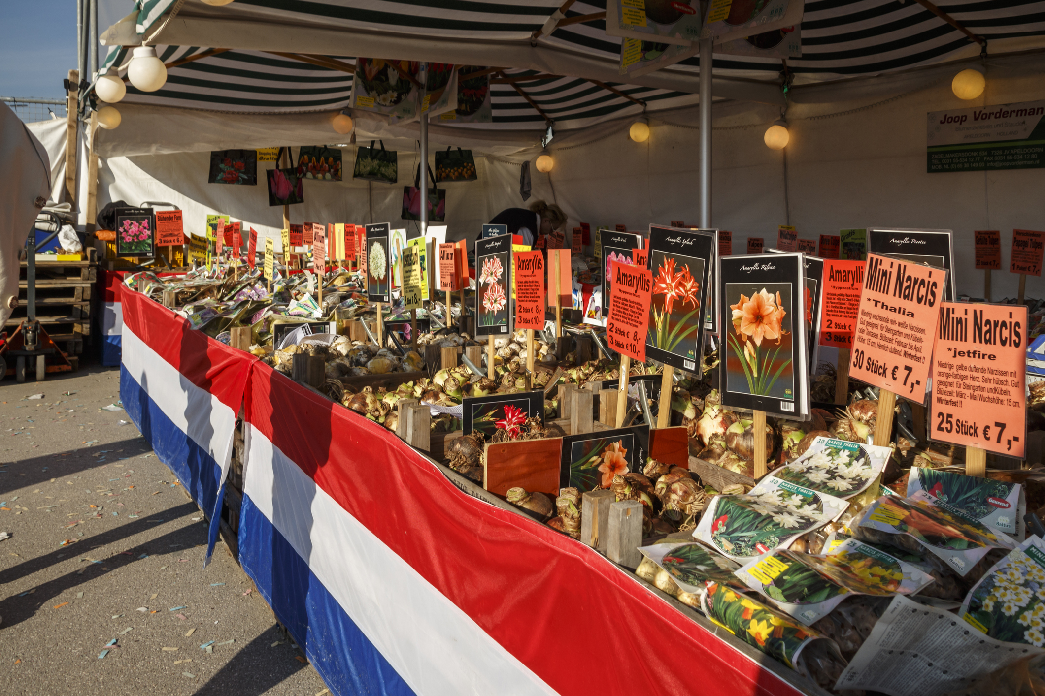 Ontdek de 9 meest bijzondere markten van Nederland