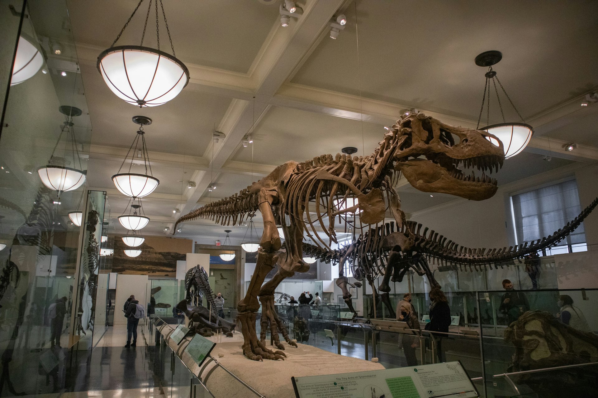 Op dino-avontuur in Nederland: De leukste uitjes voor groot en klein