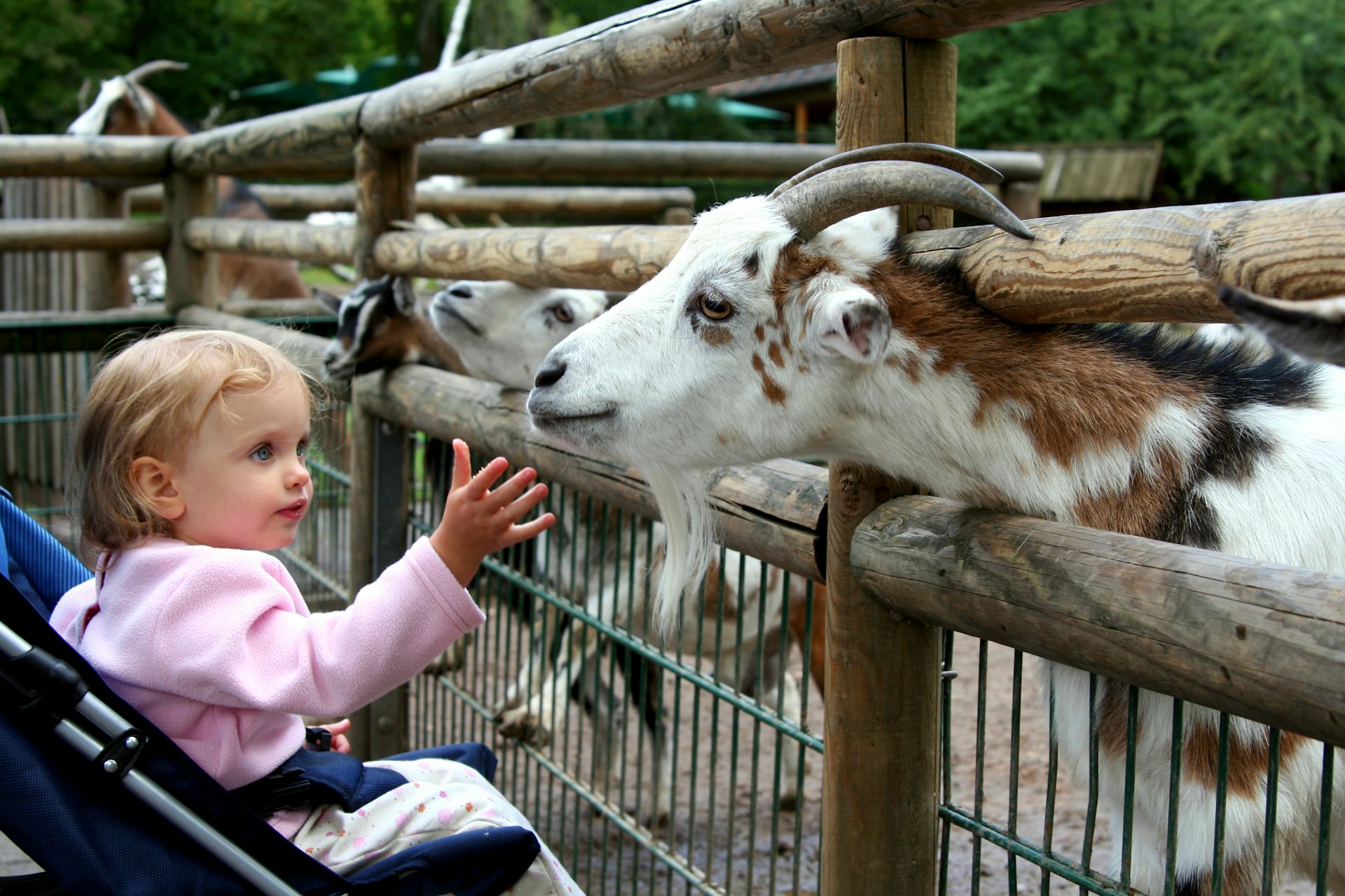 Leuke uitjes met een kind van 1 jaar