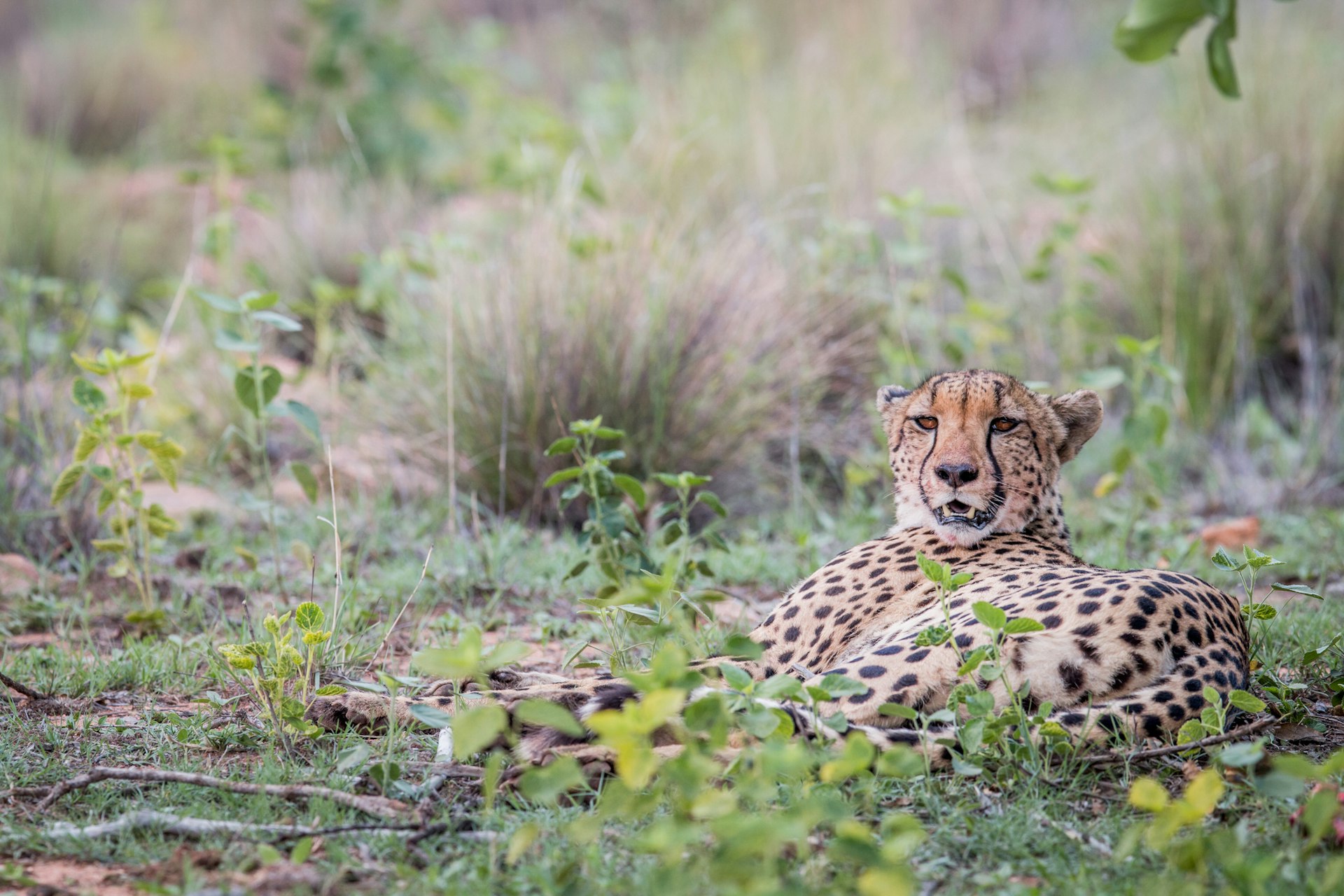 Ontdek Dierenpark Zie-ZOO met korting