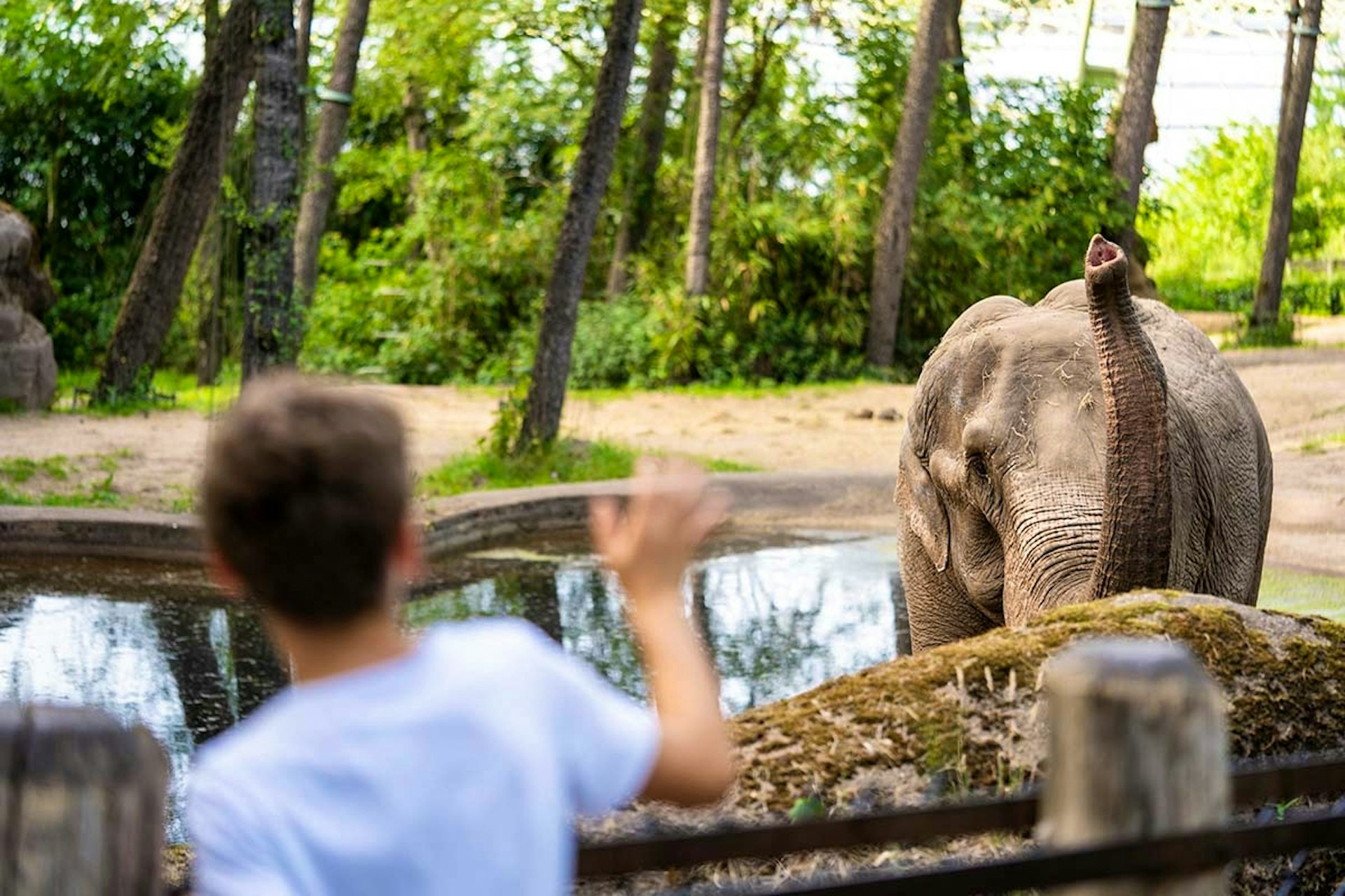 Ontdek Burgers' Zoo met korting