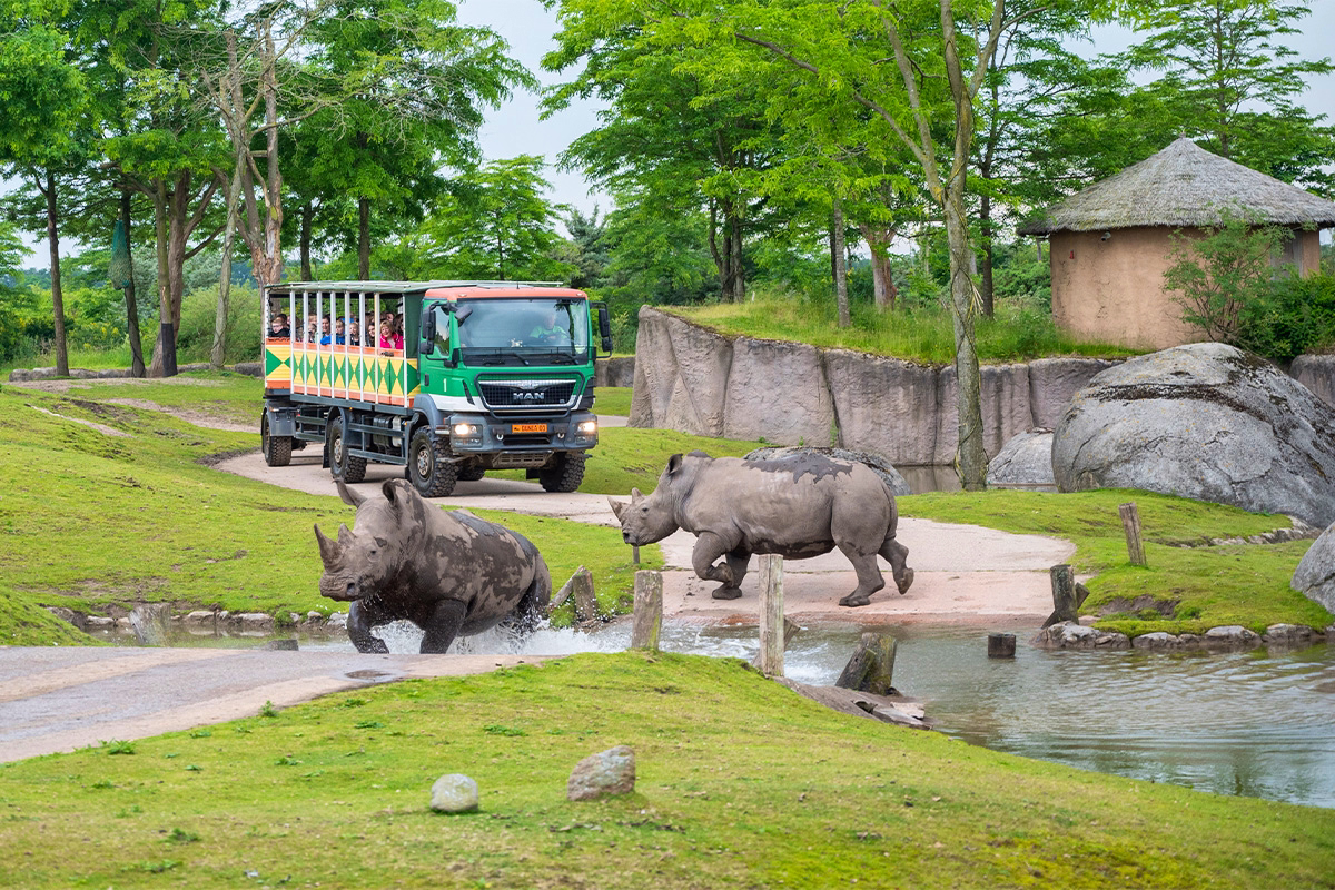 Ontdek WILDLANDS met korting