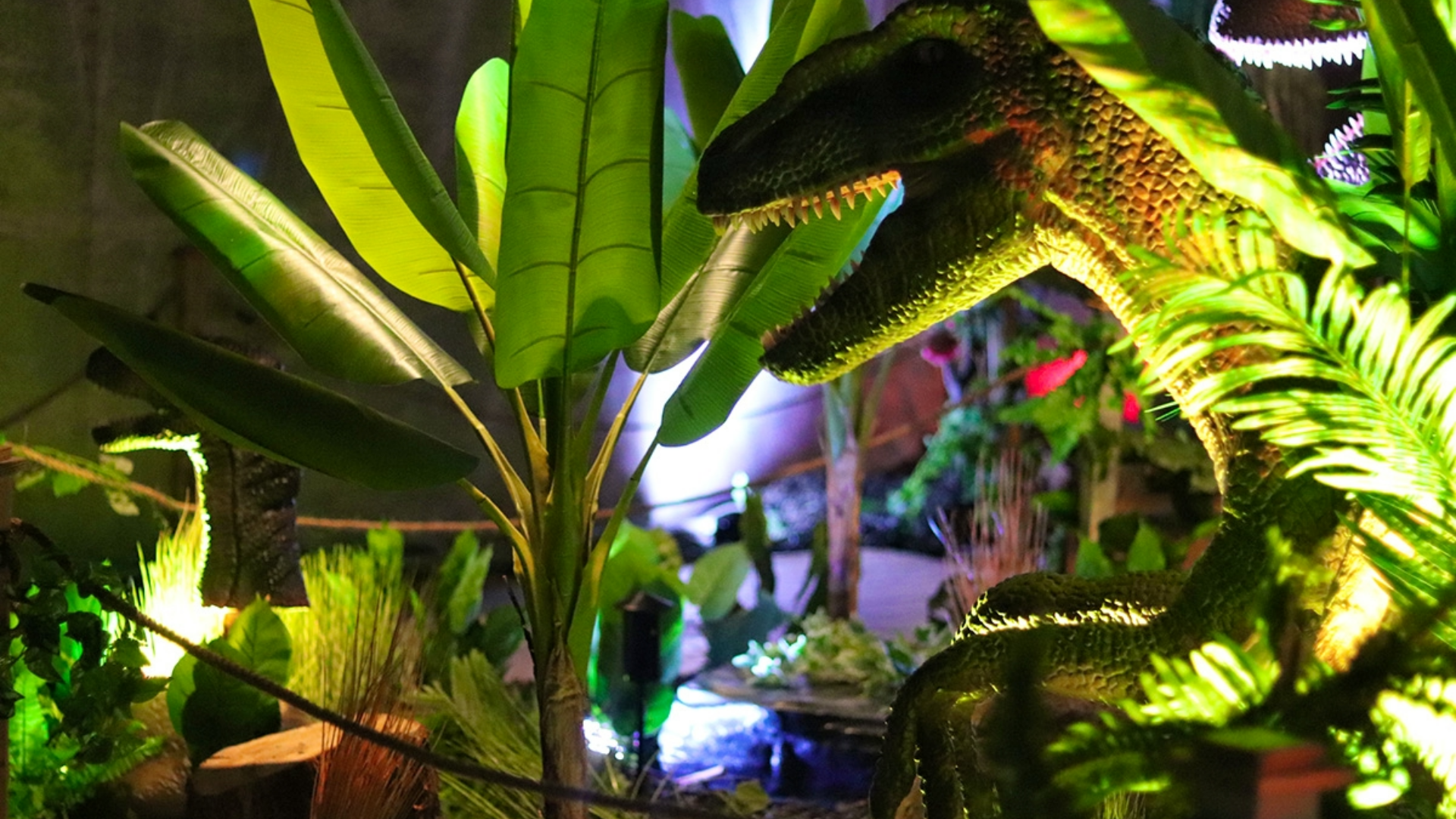 Ontdek World of Dinos met korting