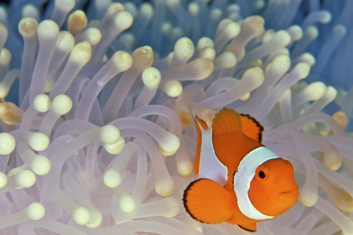 Ontdek Zee Aquarium Bergen aan Zee met korting