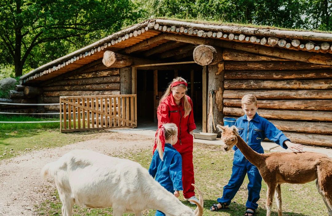 Ontdek Vakantiepark Dierenbos in Vinkel