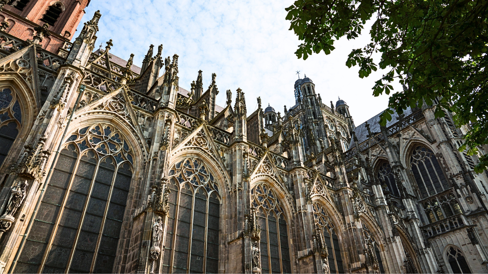 Wat te doen in Den Bosch?