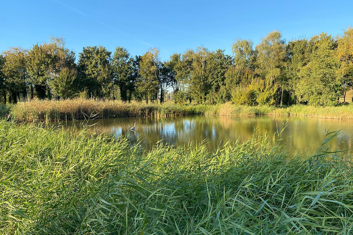 Intake wandelcoaching (30 min) bij ChristelFit