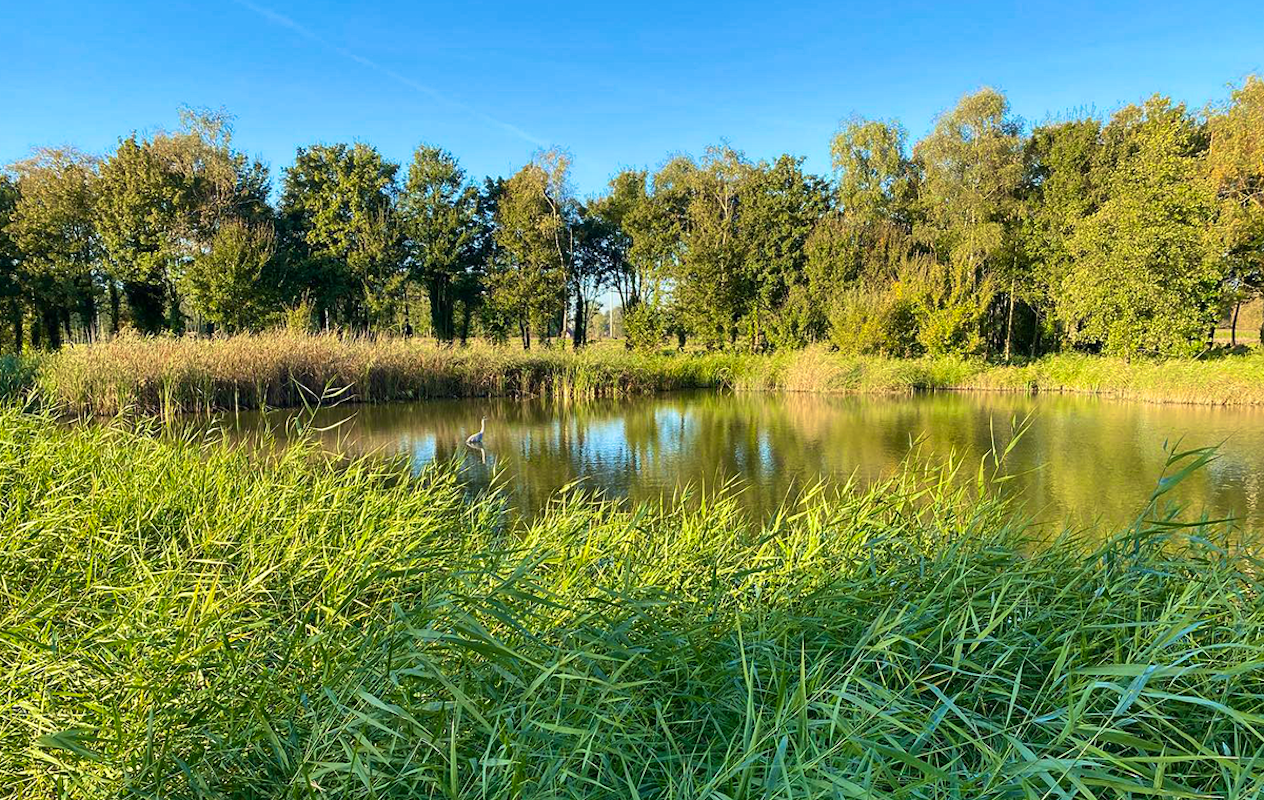 Intake wandelcoaching (30 min) bij ChristelFit
