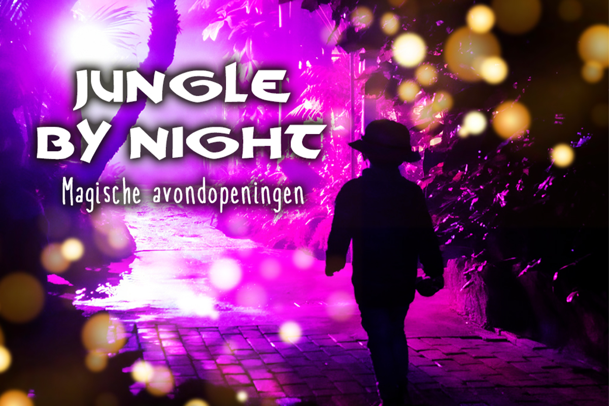Ticket Jungle By Night 2024 in Almere Jungle