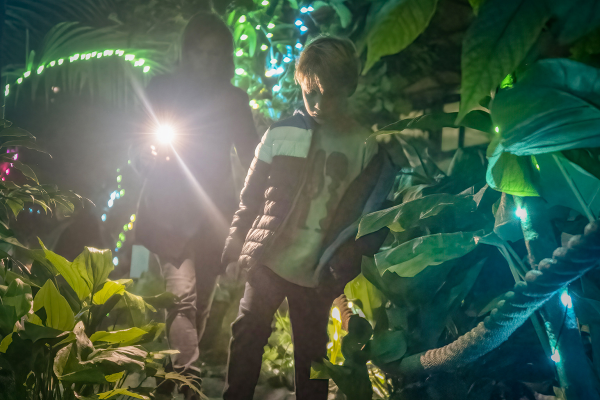 Ticket Jungle By Night 2024 in Almere Jungle