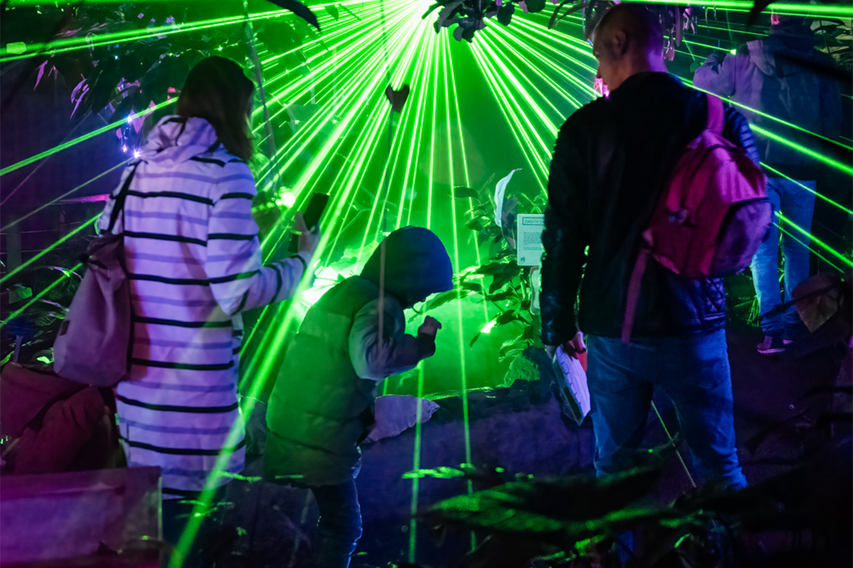 Ticket Jungle By Night 2024 in Almere Jungle