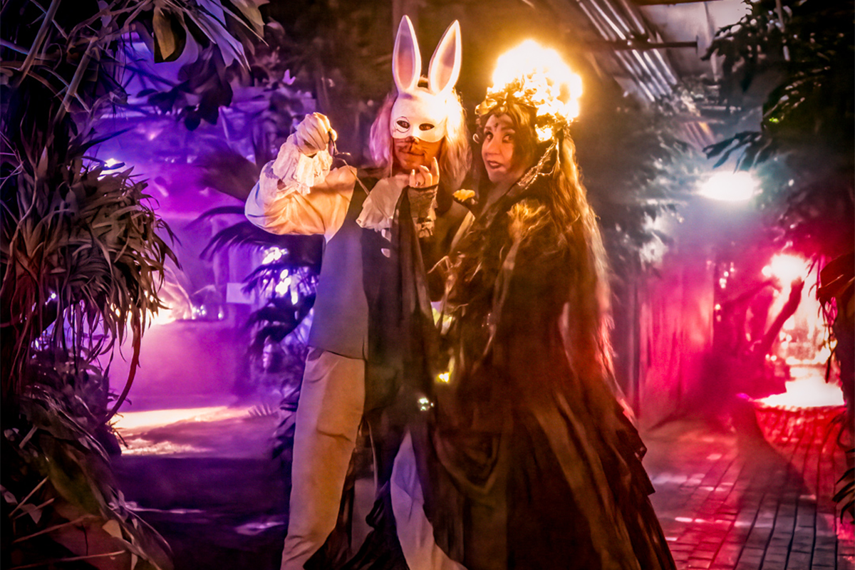 Ticket Jungle By Night 2024 in Almere Jungle