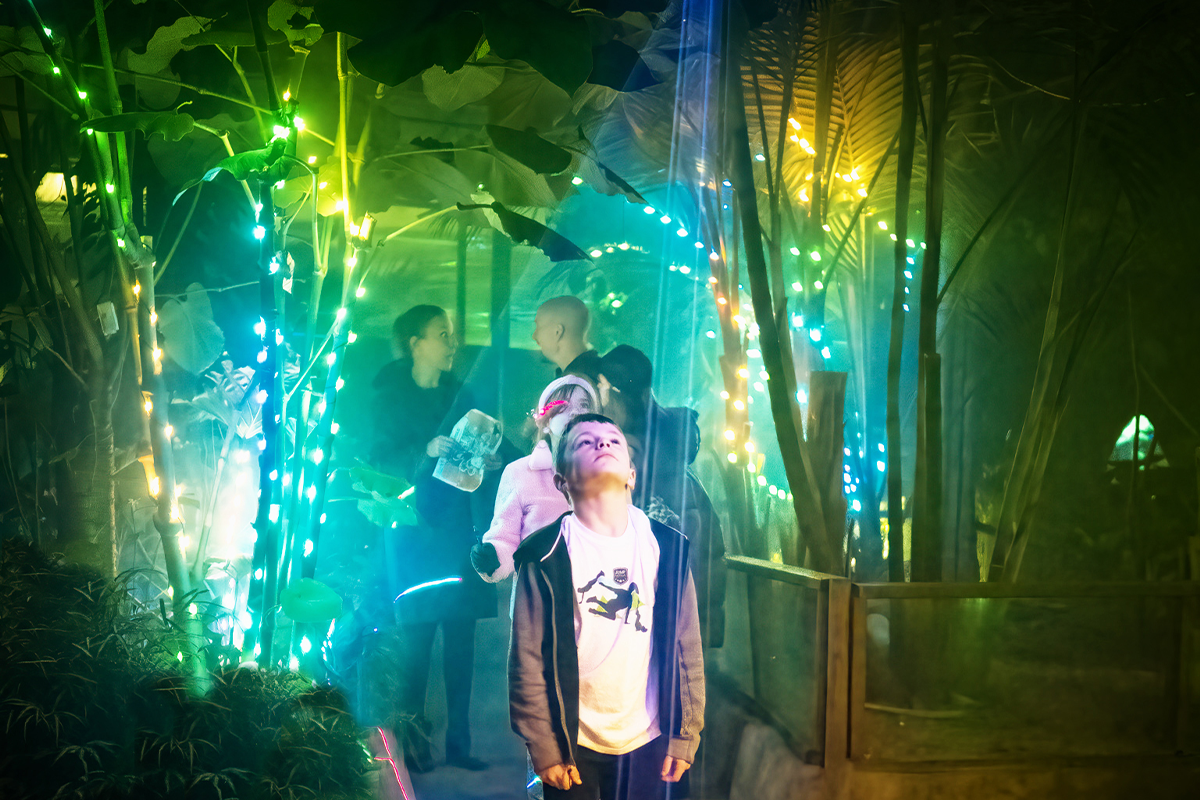 Ticket Jungle By Night 2024 in Almere Jungle